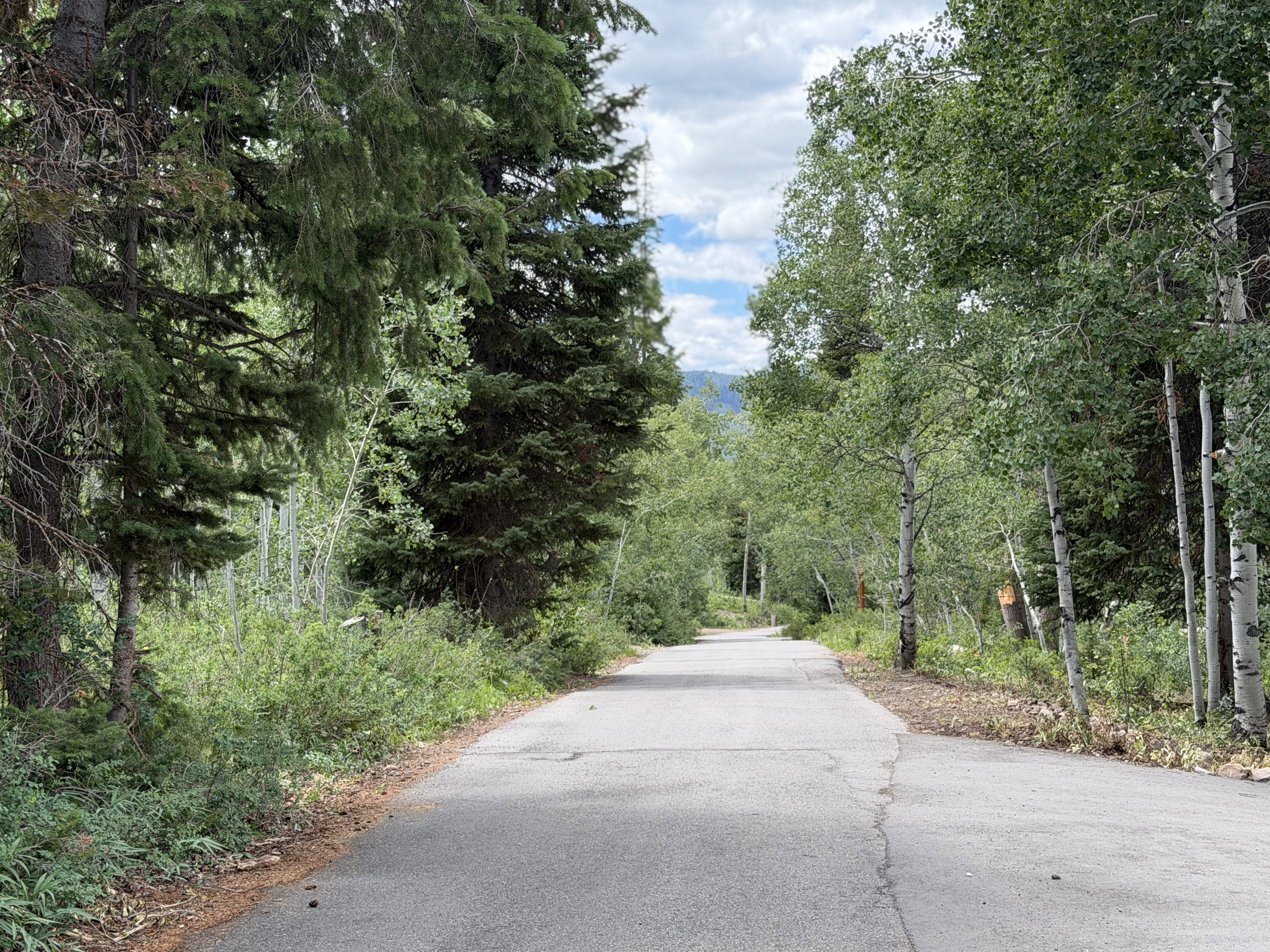 Paved road to lot