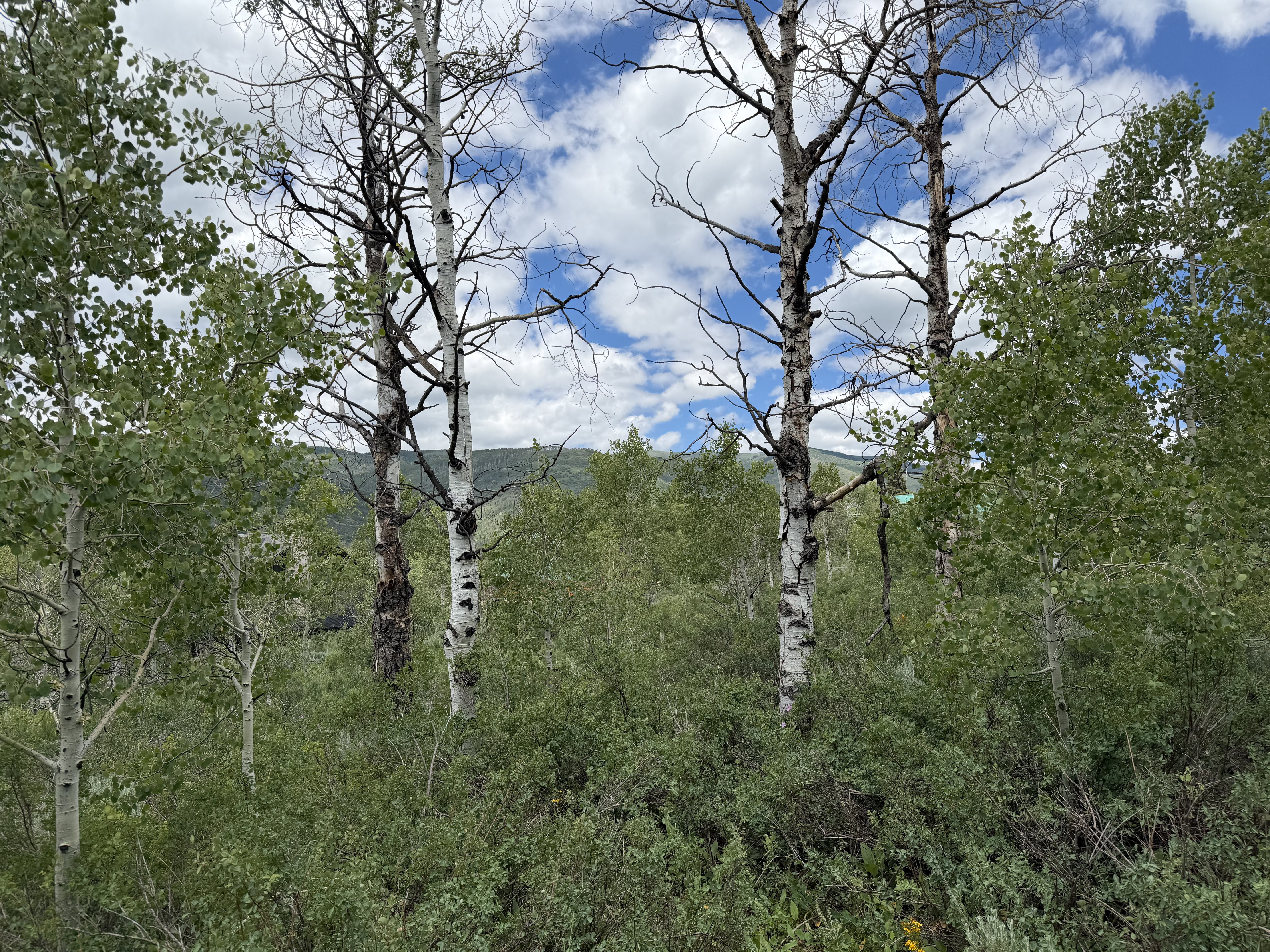 View from lot