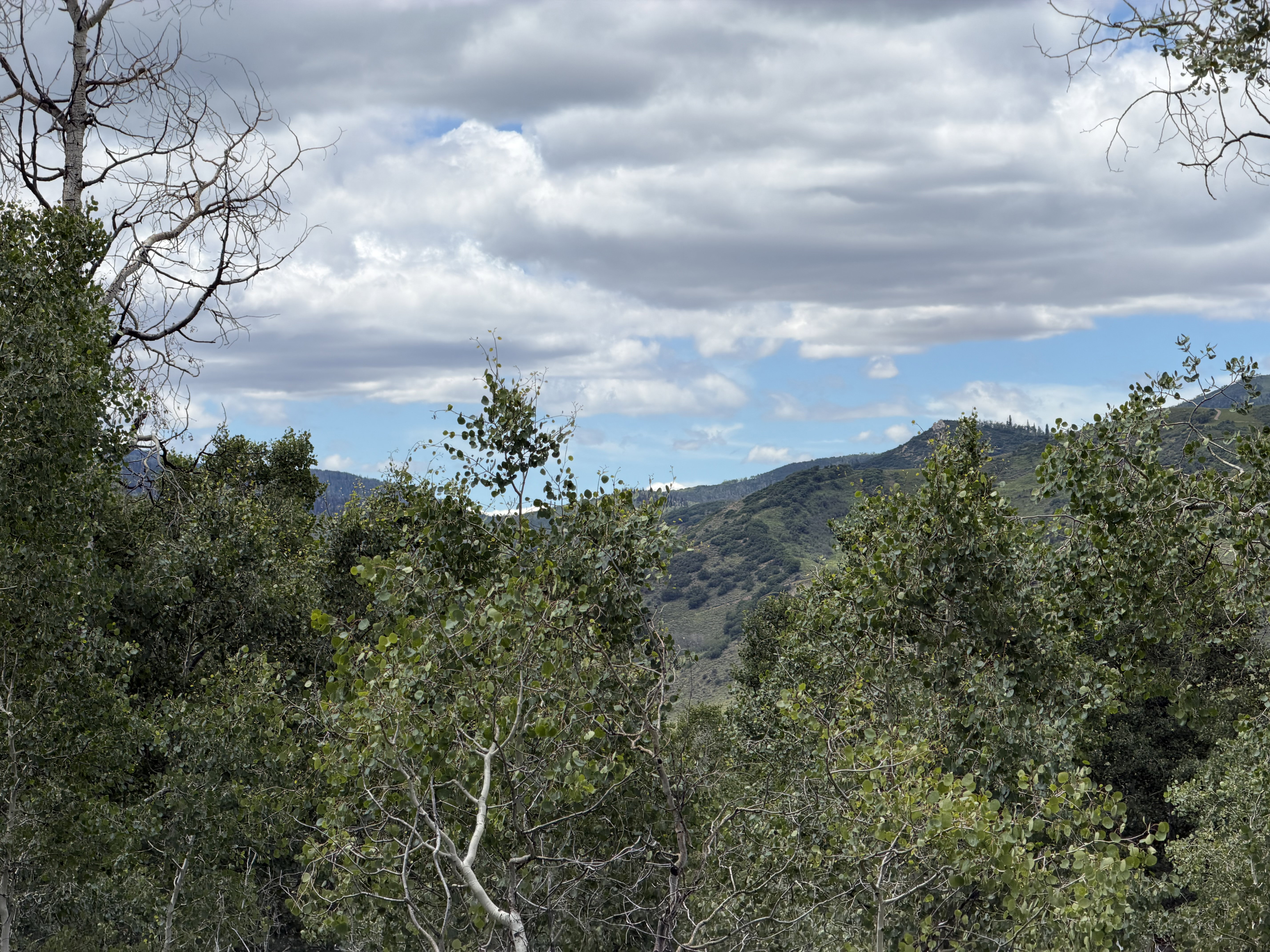 View of mountains from lot