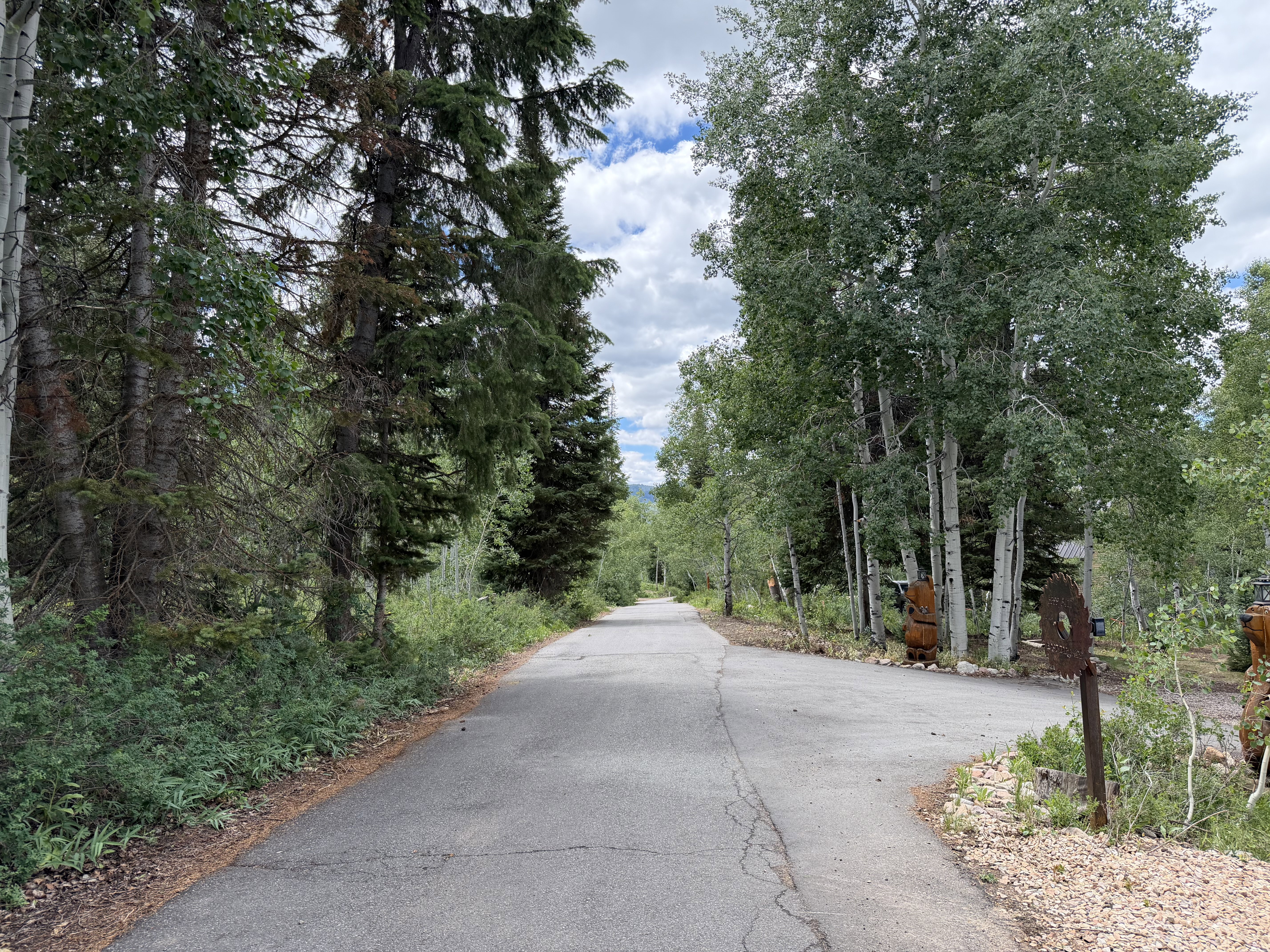 Paved road  to lot