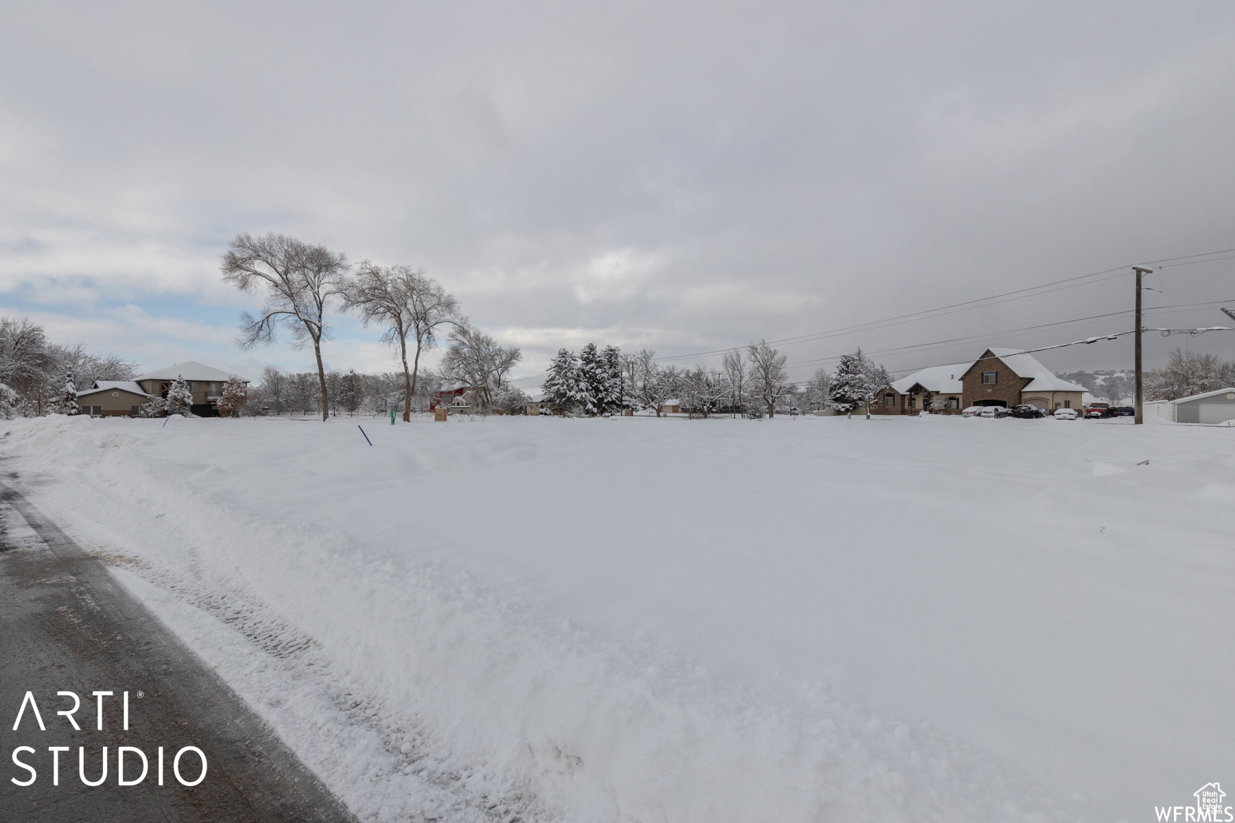 Expansive, level land parcel featuring a paved road border and mature trees