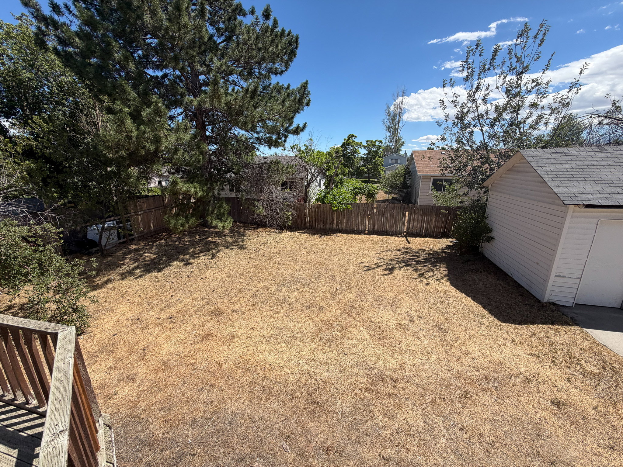 Expansive backyard with a dedicated outbuilding, mature trees, and privacy fencing