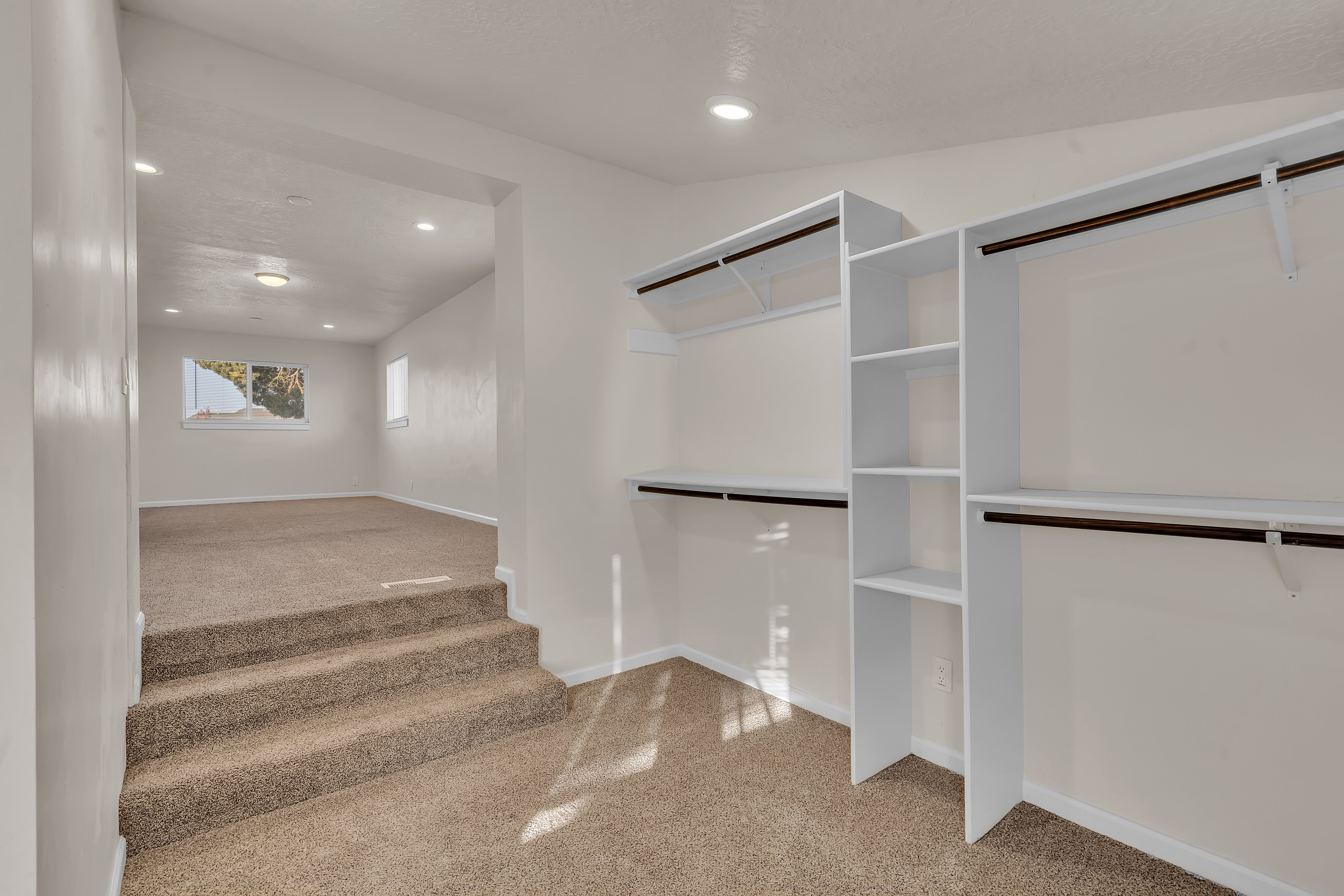 Walk-in closet featuring built-in shelving, hanging rods, and neutral carpet flooring
