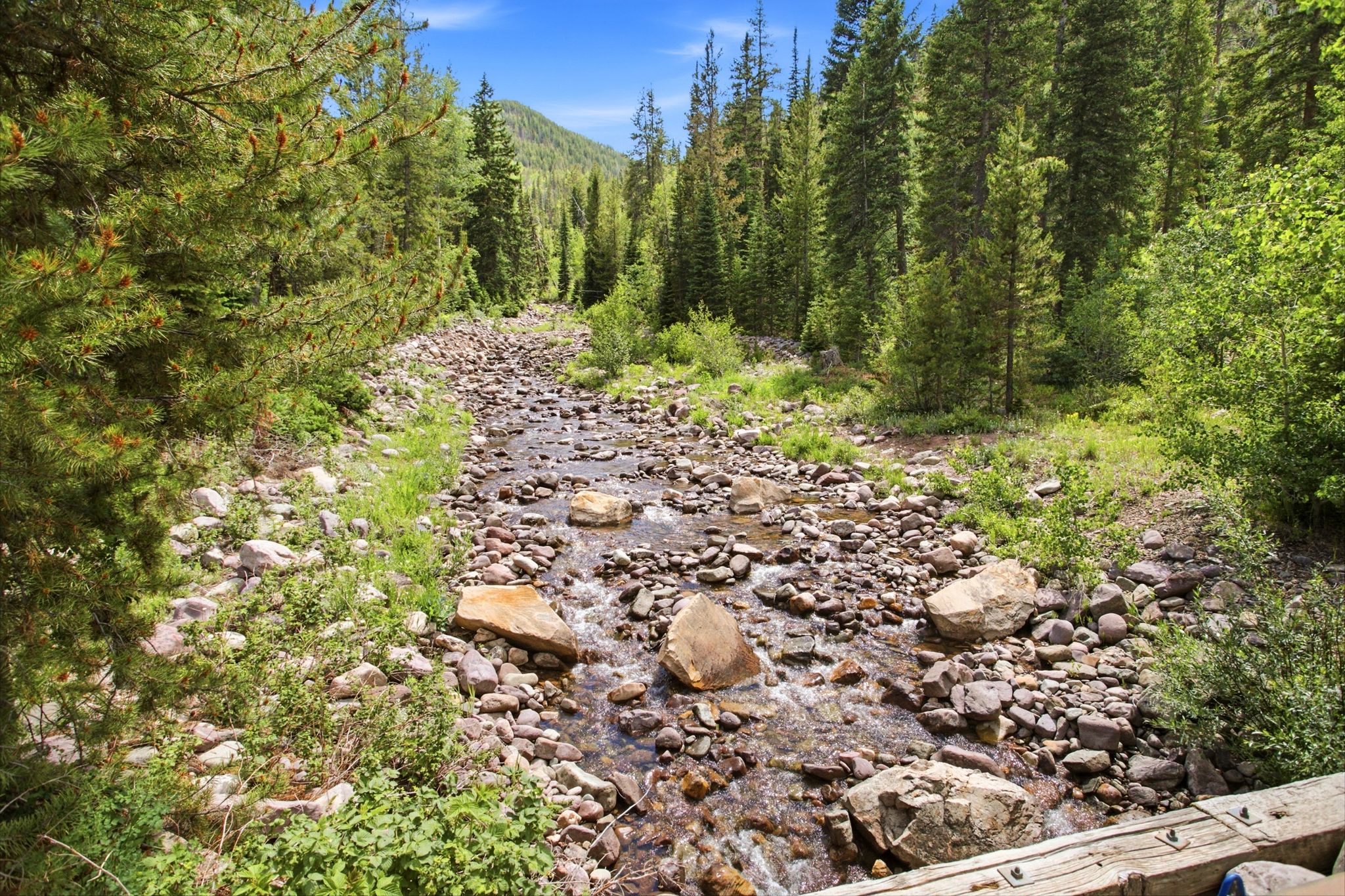 Mountain stream featuring a rocky bed, clear water, and a lush forest of coniferous and deciduous trees