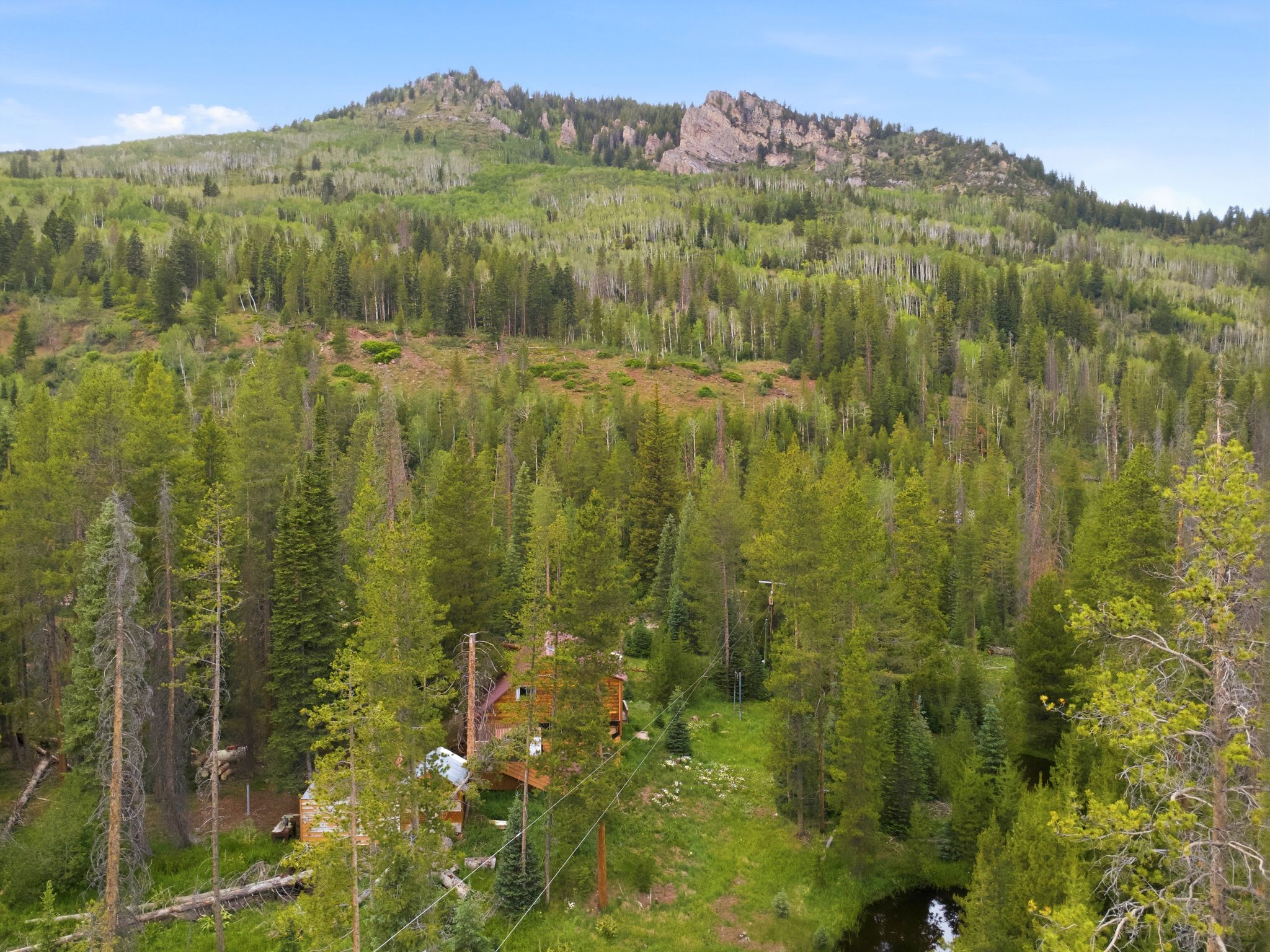 Wood-sided structure nestled among dense pine and aspen forests, featuring a stone chimney and a metal roof section