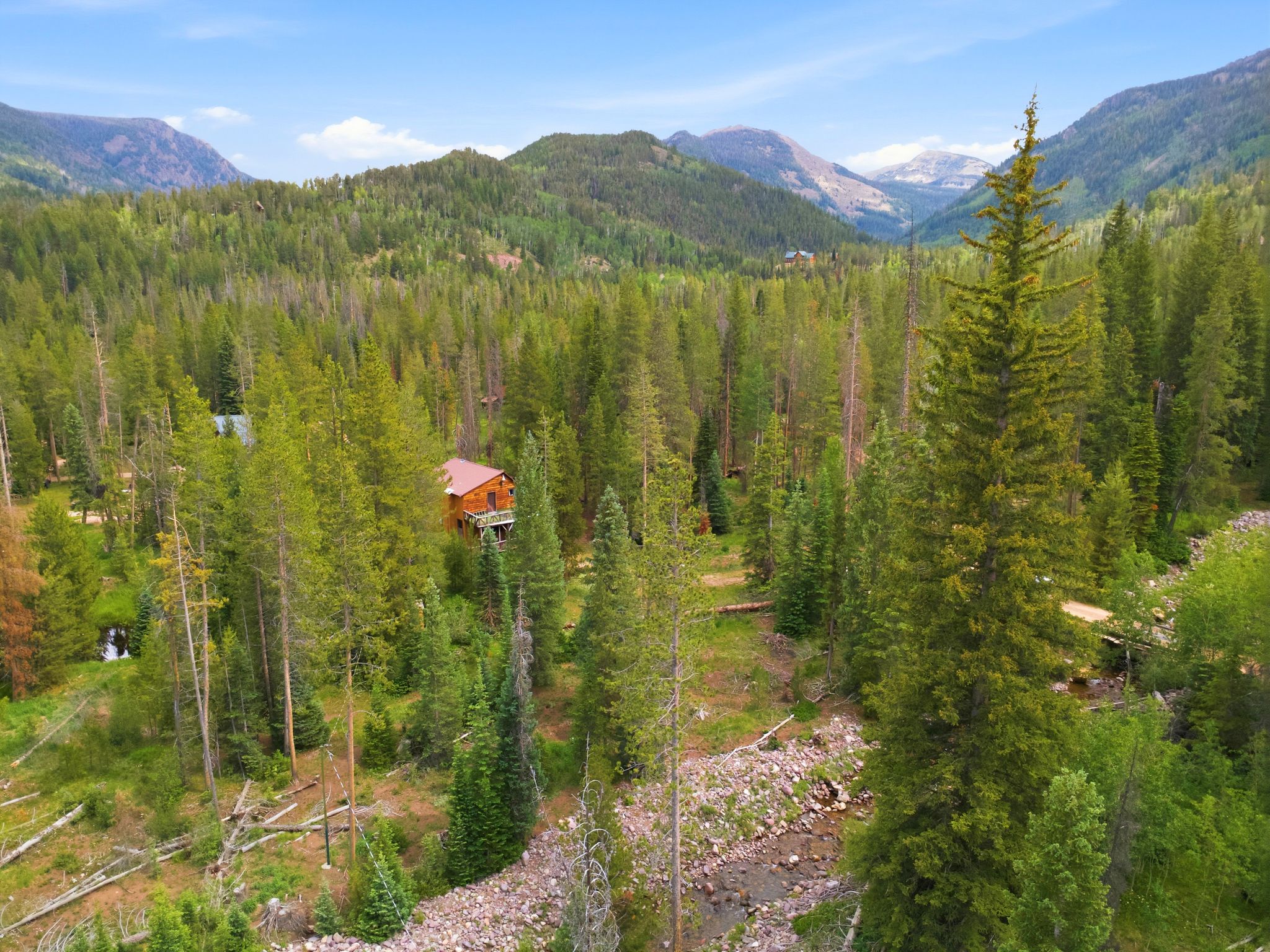 Wood-sided cabin nestled among mature evergreen trees