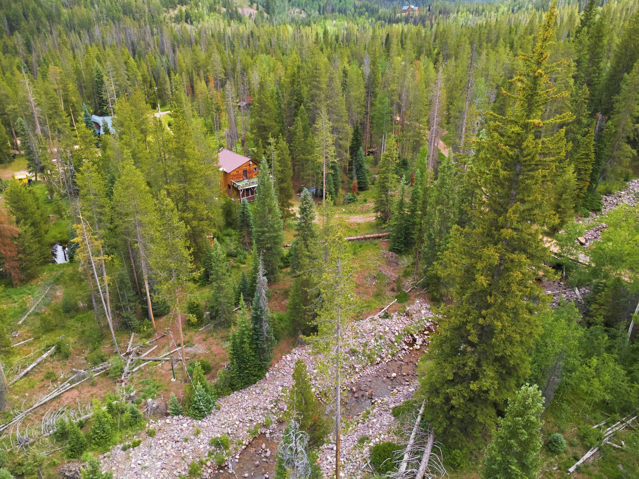 Wood-sided cabin nestled among mature evergreen trees