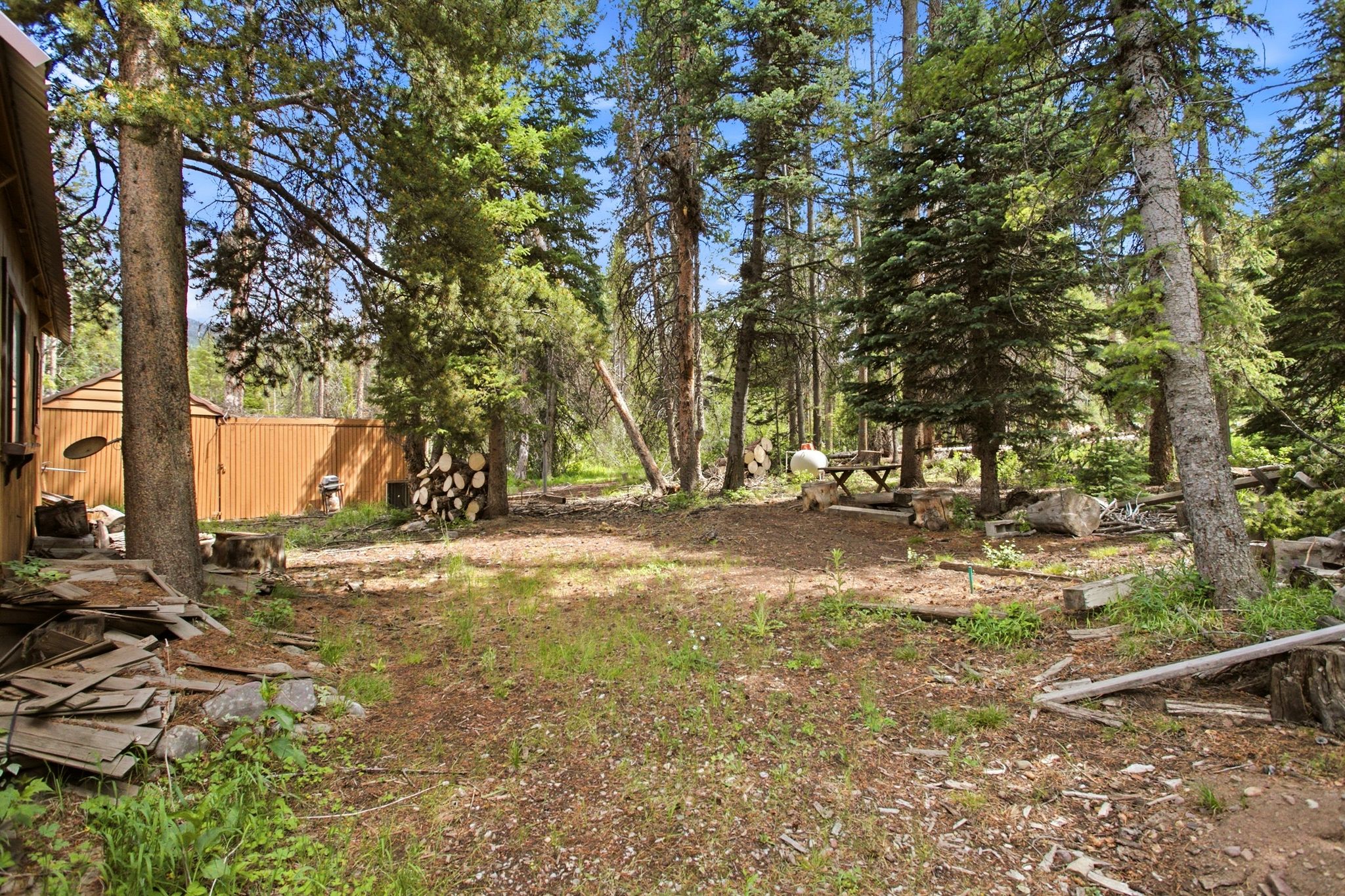 Wooded lot featuring mature pine trees, a wood-sided building, and a separate storage shed with corrugated metal siding