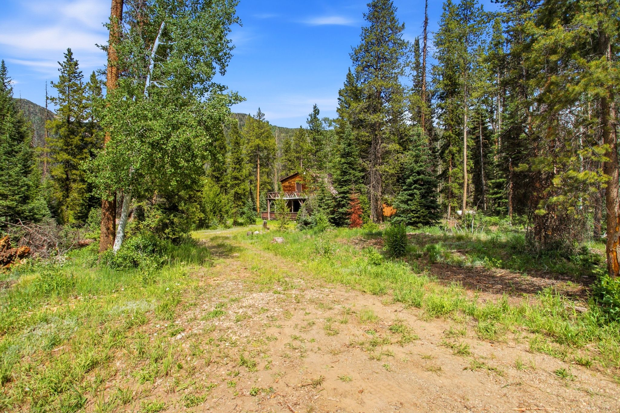 Wooded property featuring a rustic cabin with an upper-level deck, surrounded by mature trees and natural landscaping
