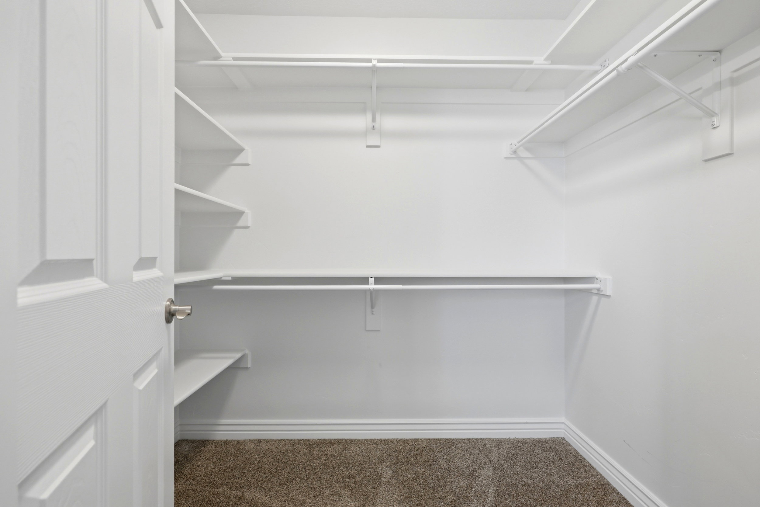 Walk-in closet featuring white built-in shelving, multiple hanging rods, white walls, white baseboards, and carpet flooring