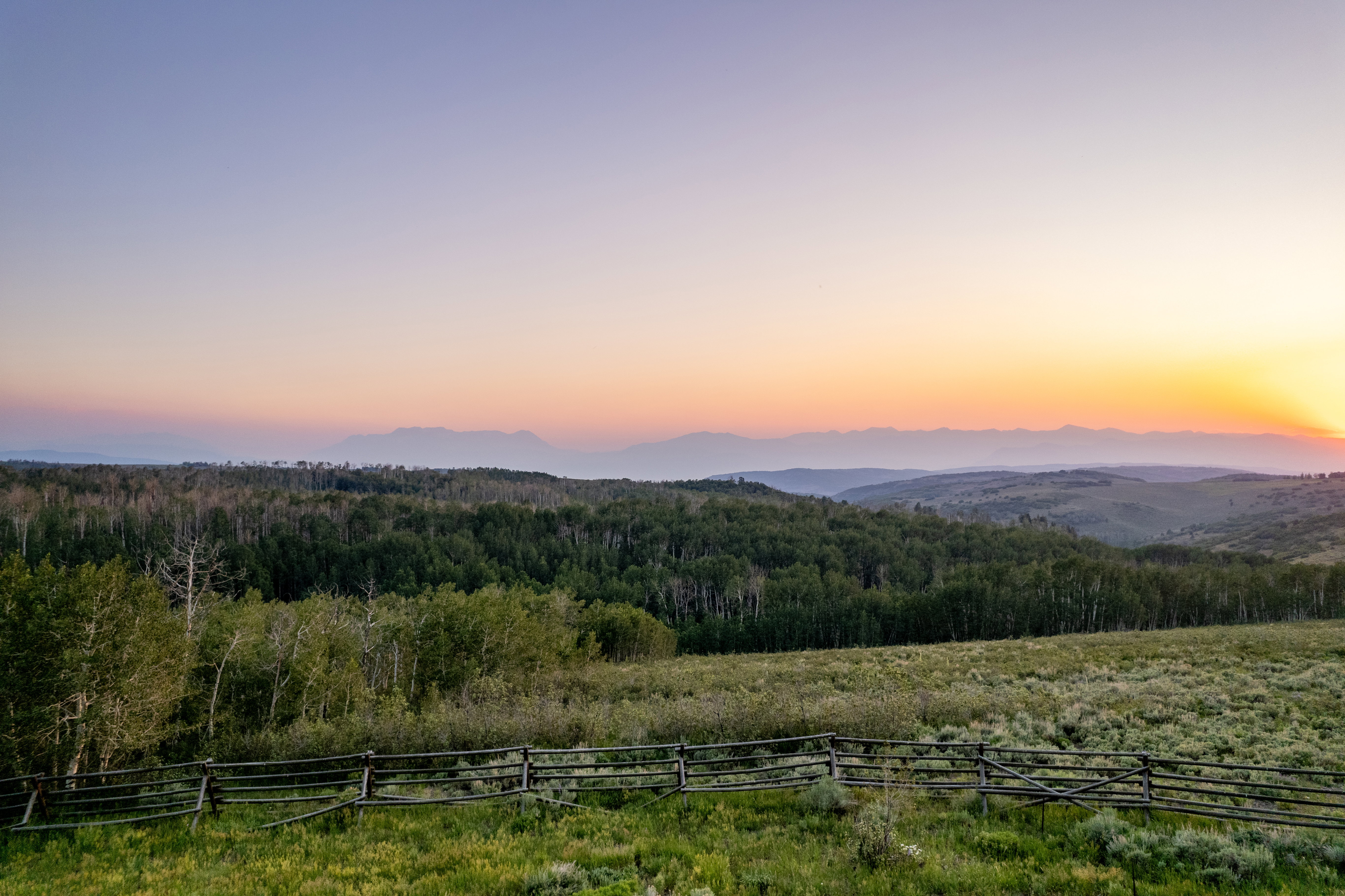 Expansive natural landscape featuring rolling hills and abundant tree coverage