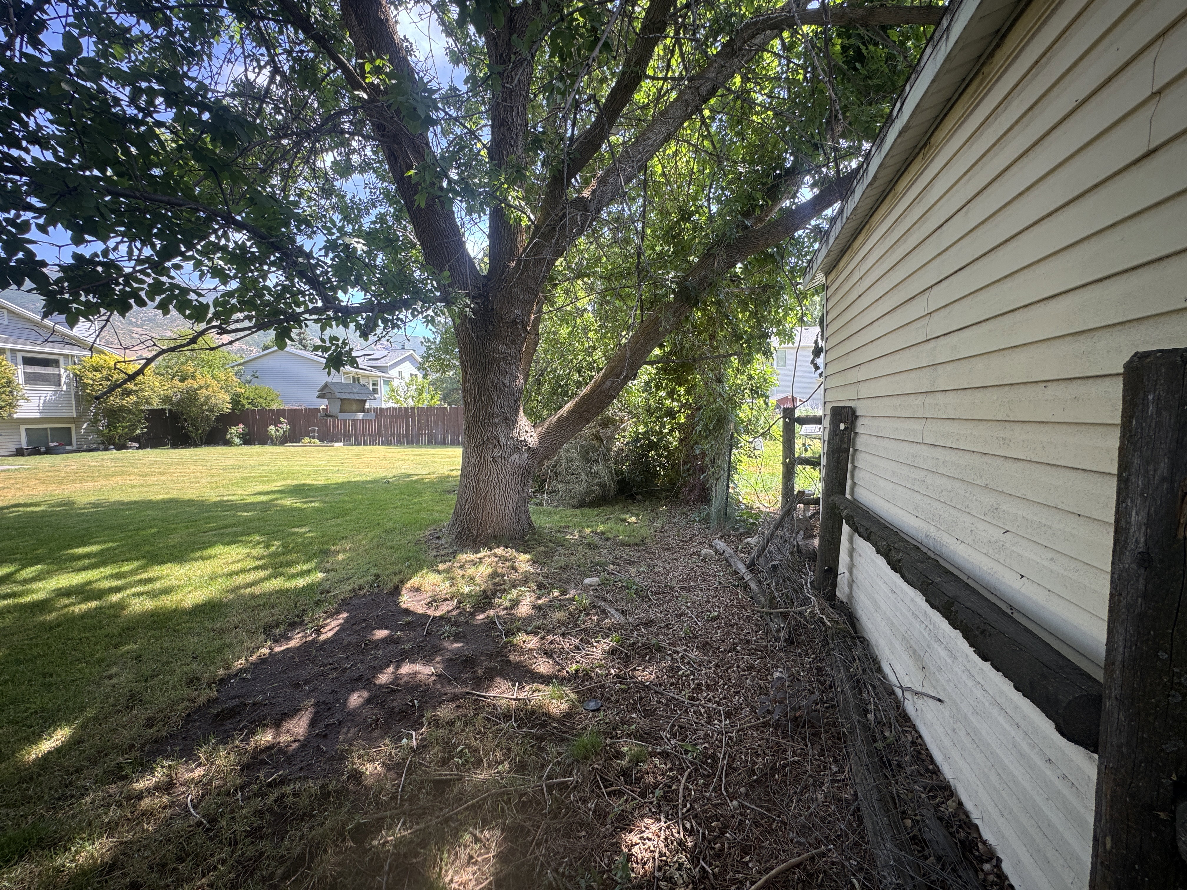 Expansive backyard featuring a mature shade tree, a manicured lawn, and a light-colored siding exterior