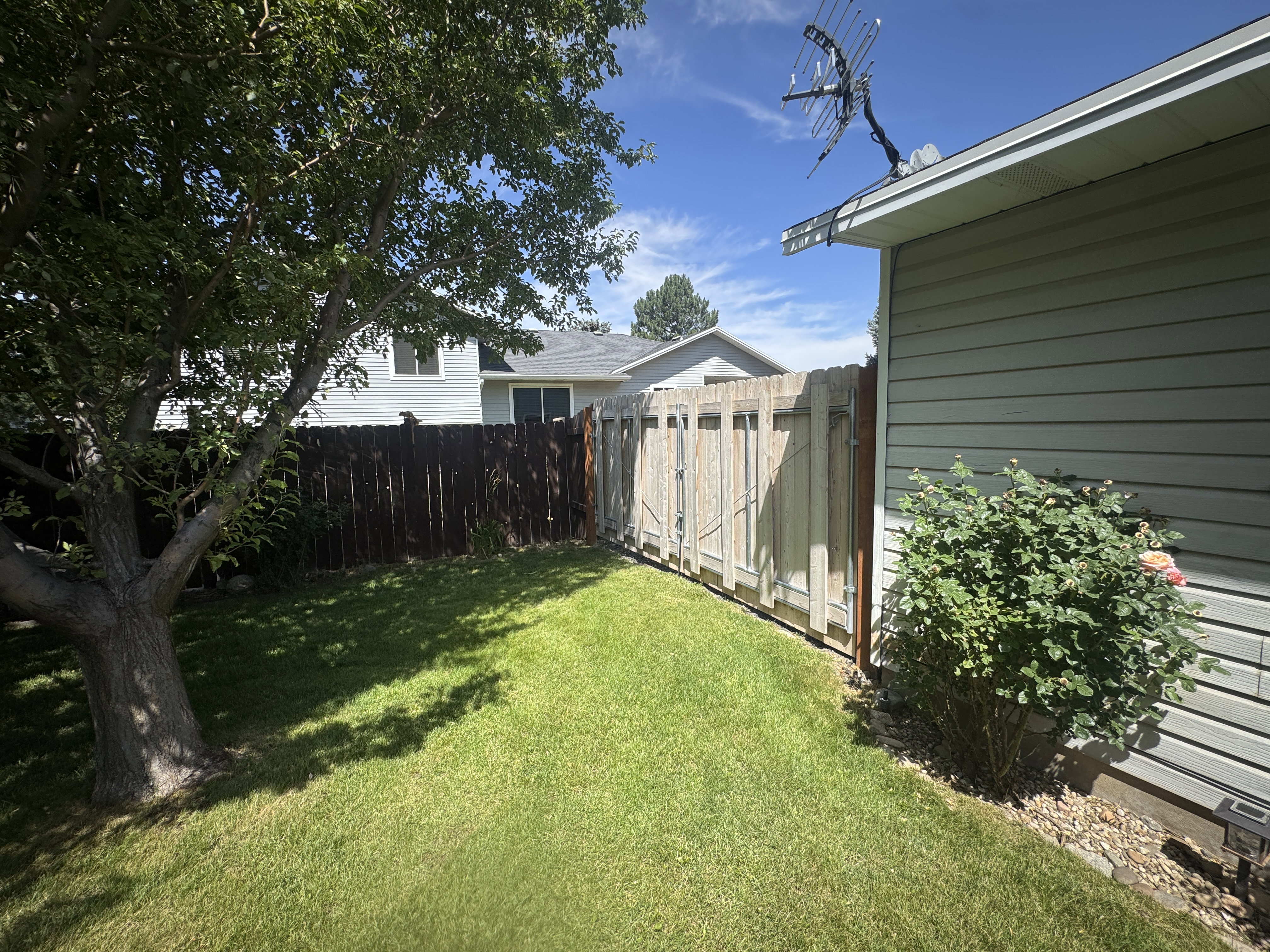 Manicured lawn area featuring mature trees