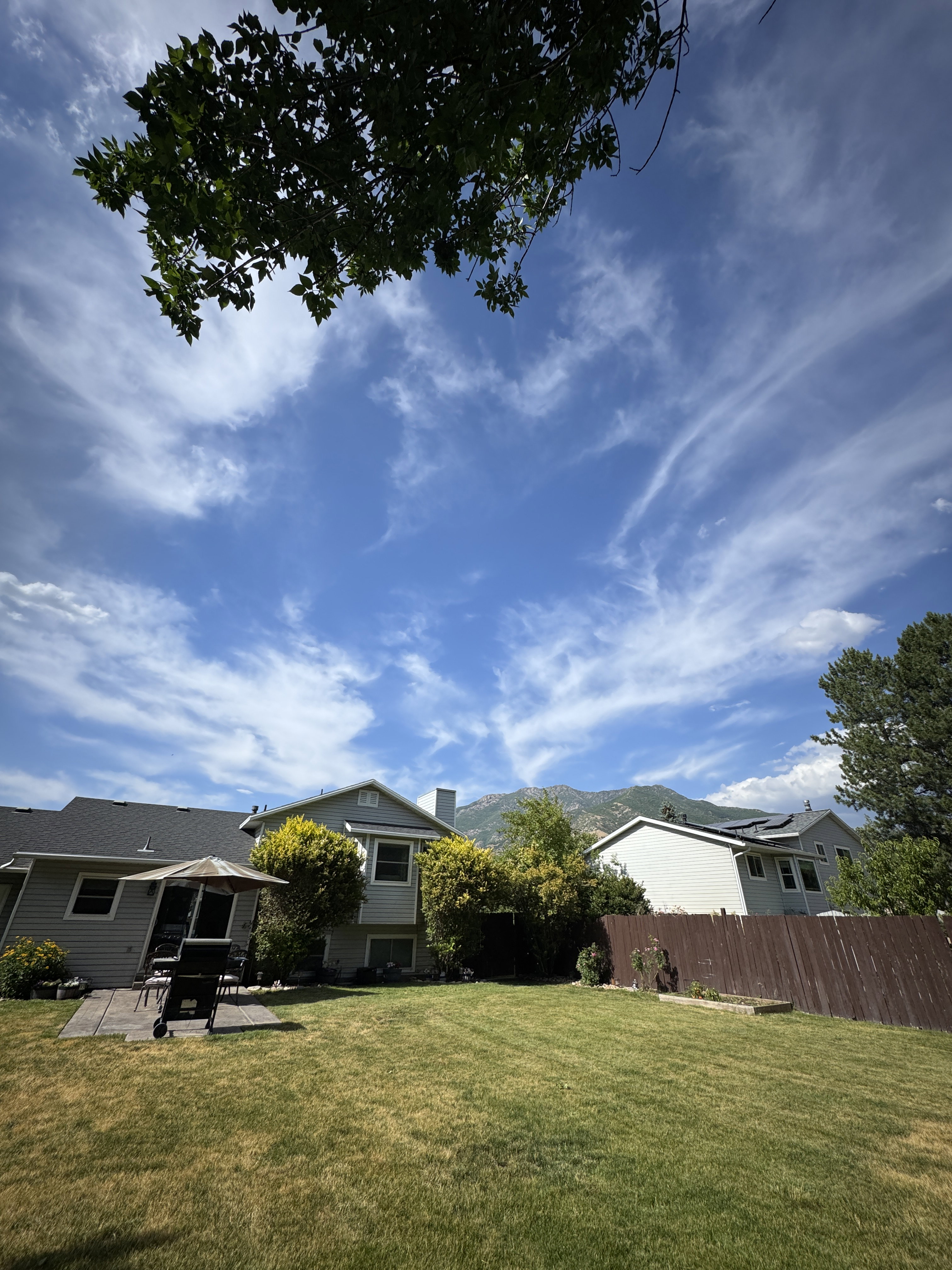 Expansive green lawn with a patio area and privacy fencing