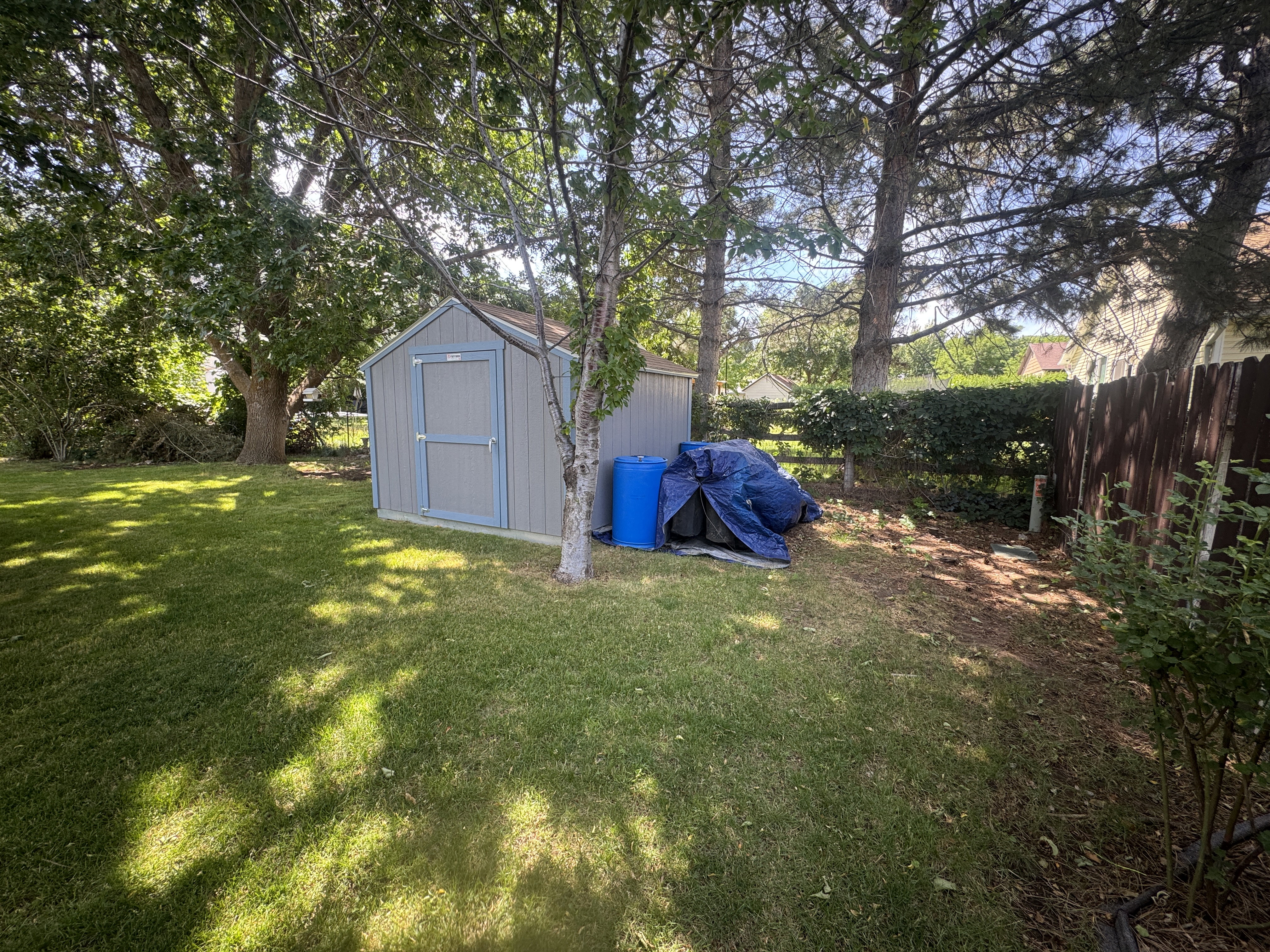 Backyard featuring a gray storage shed with blue trim, mature trees, and a wooden fence