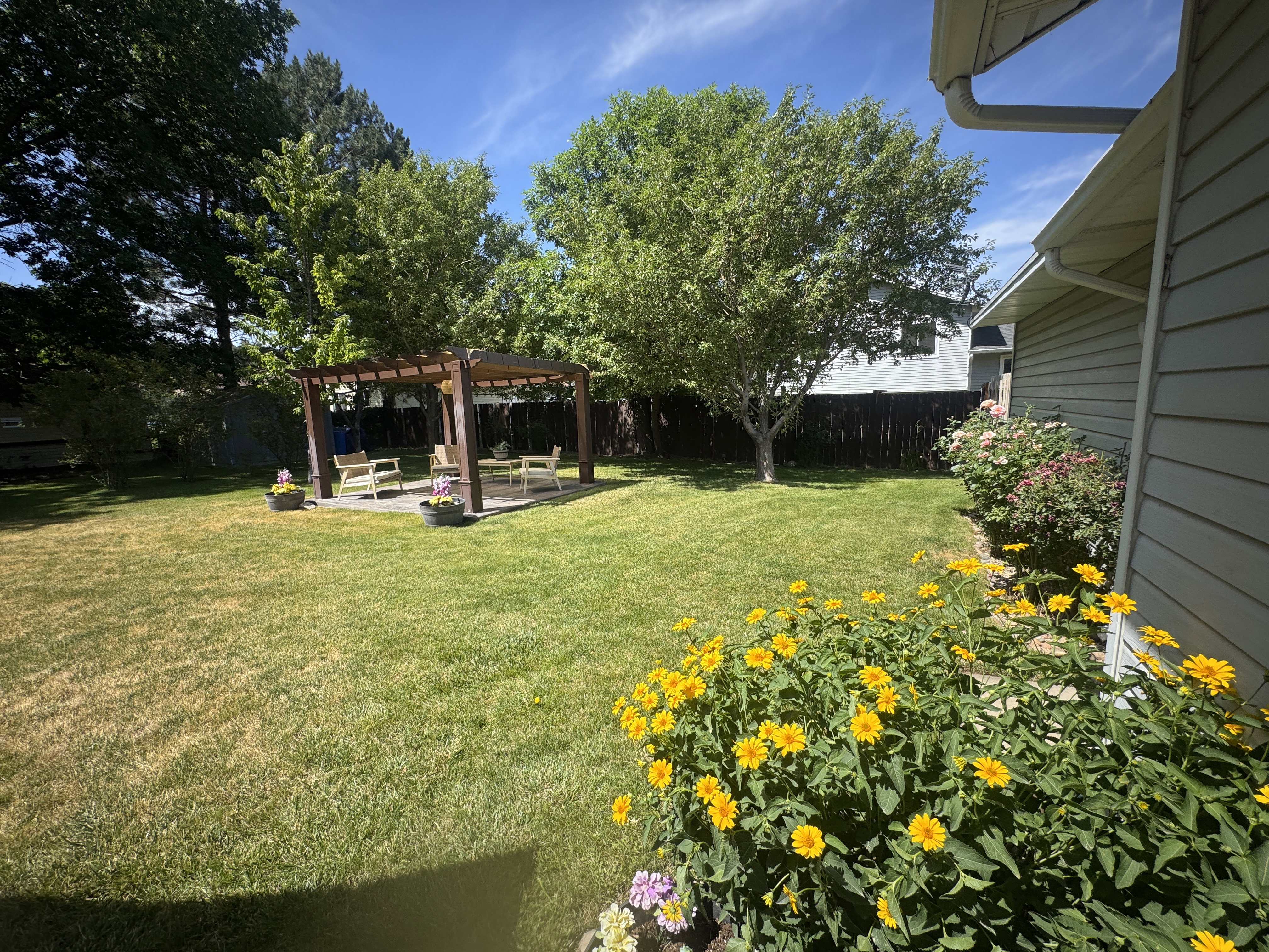 Spacious backyard featuring a wood pergola over a paved patio, mature trees, flowering shrubs, and vibrant yellow perennials