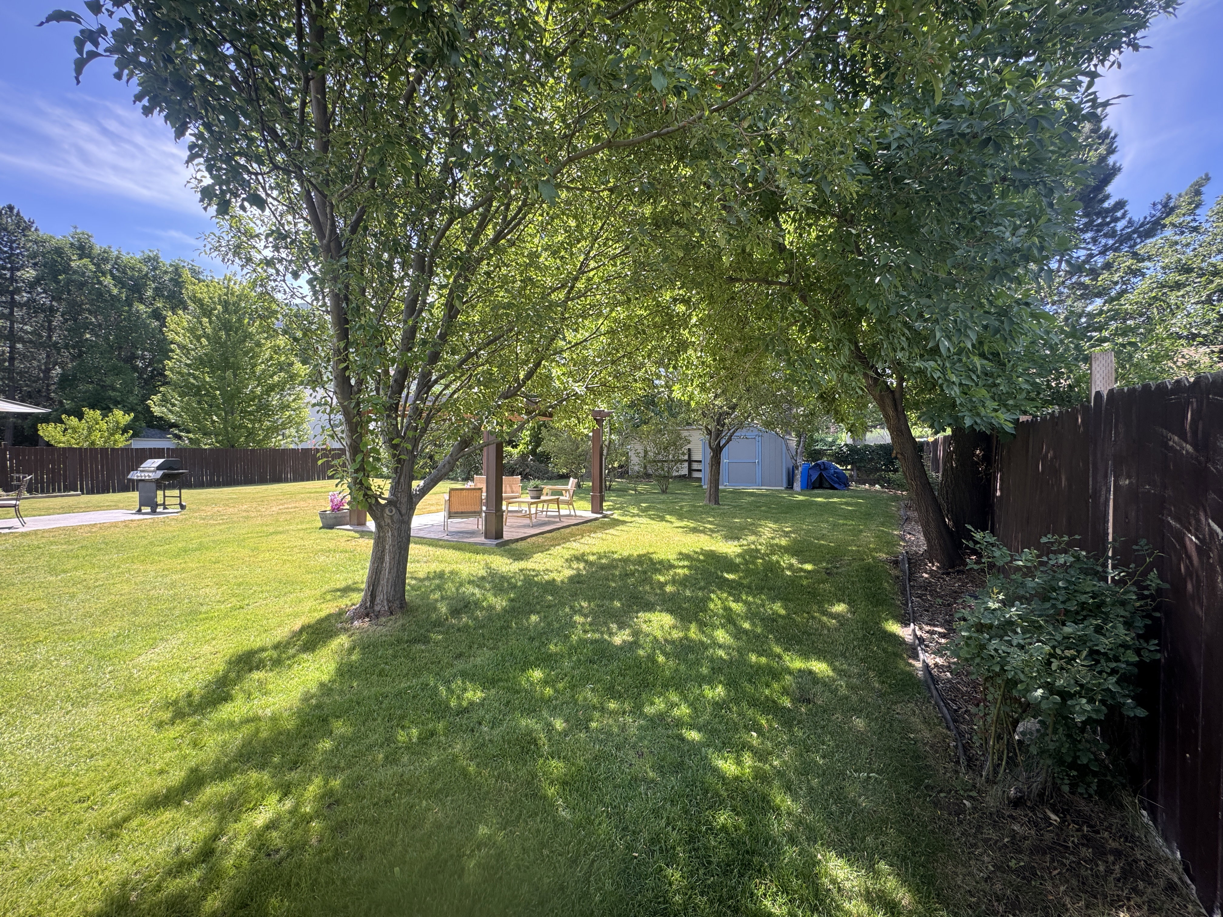 Spacious backyard featuring a manicured lawn, a concrete patio area, and mature trees providing natural shade