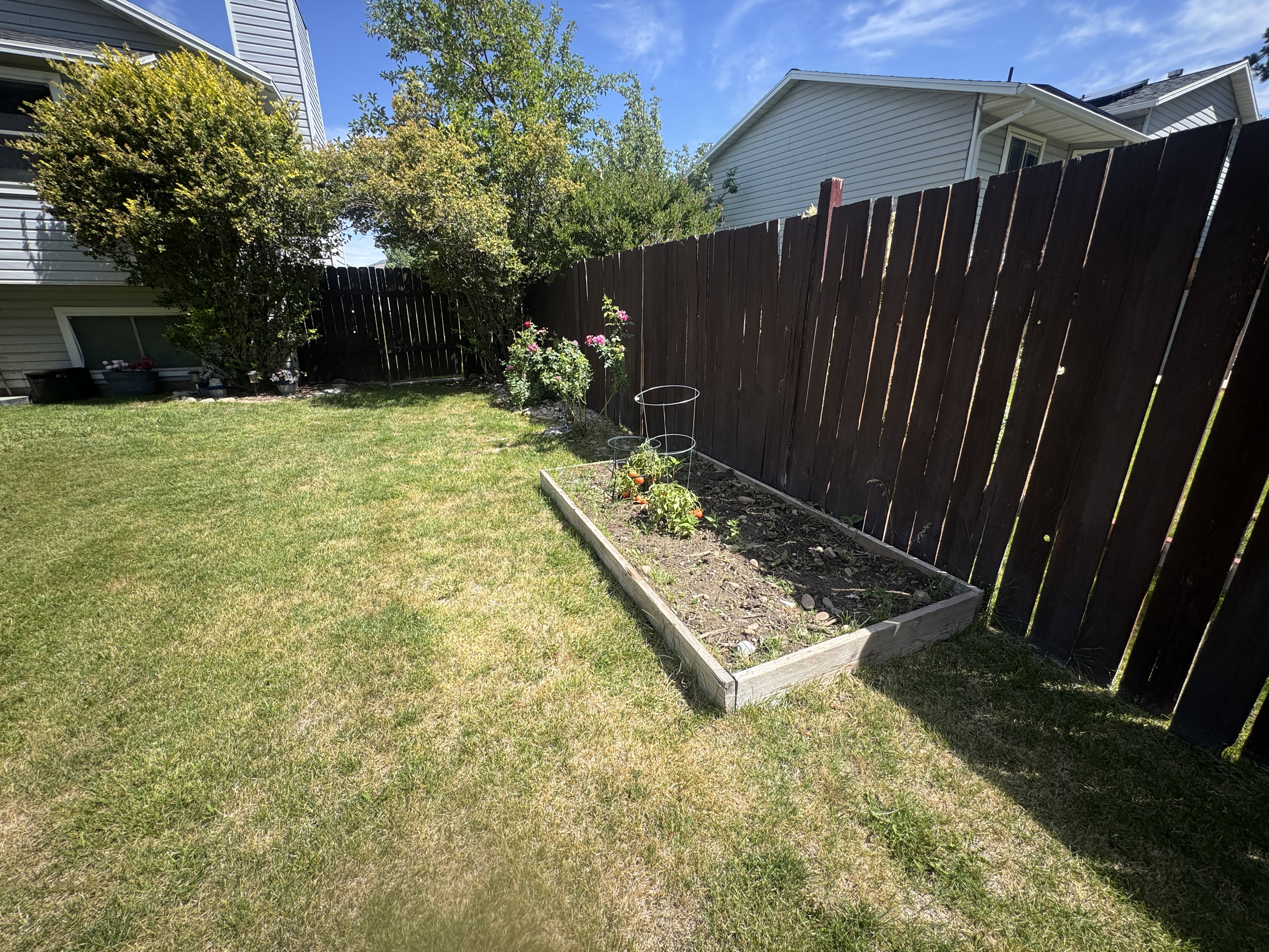 Expansive grassy backyard featuring a wood-panel fence, a raised garden bed, and mature perimeter trees