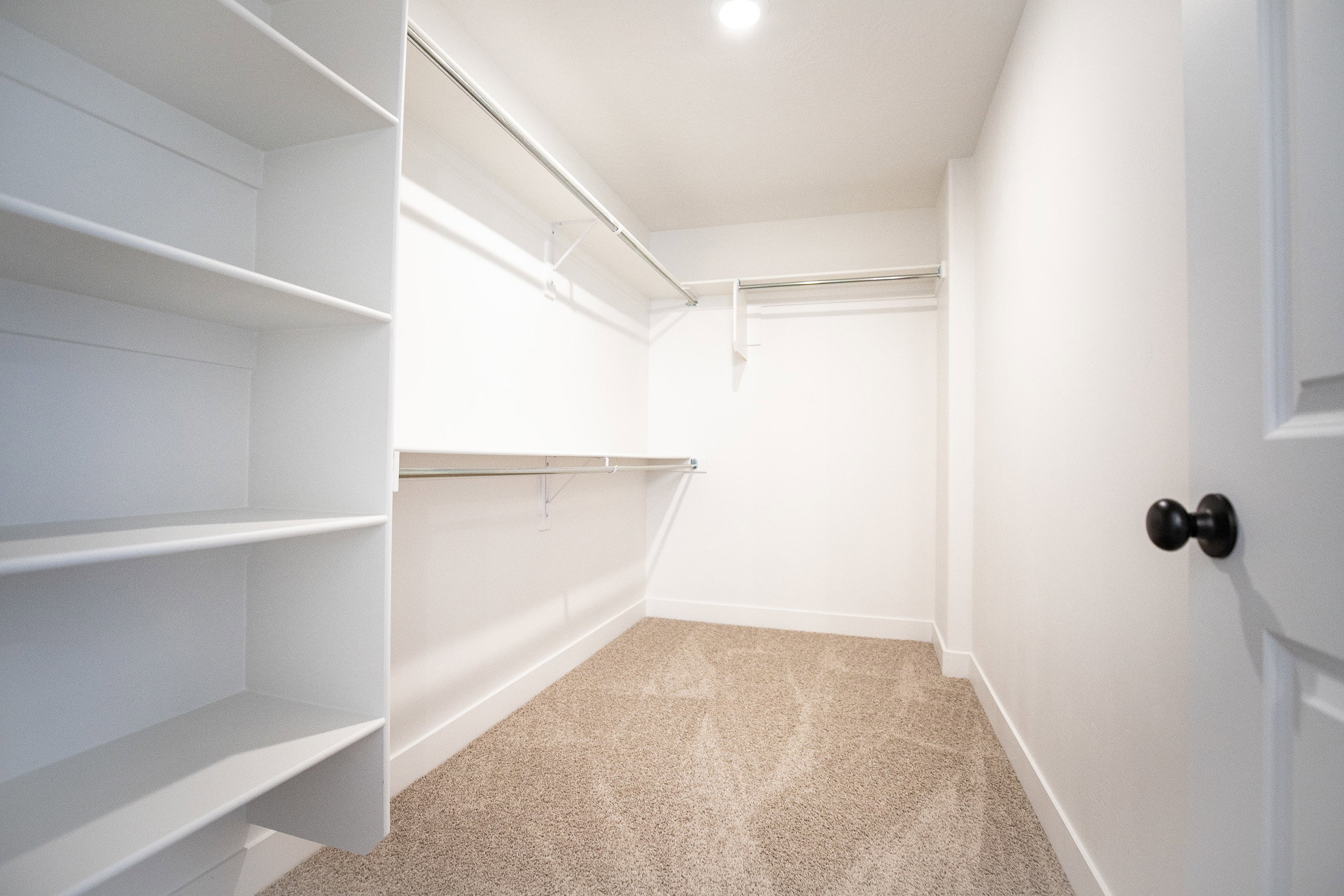 Primary Walk-in closet