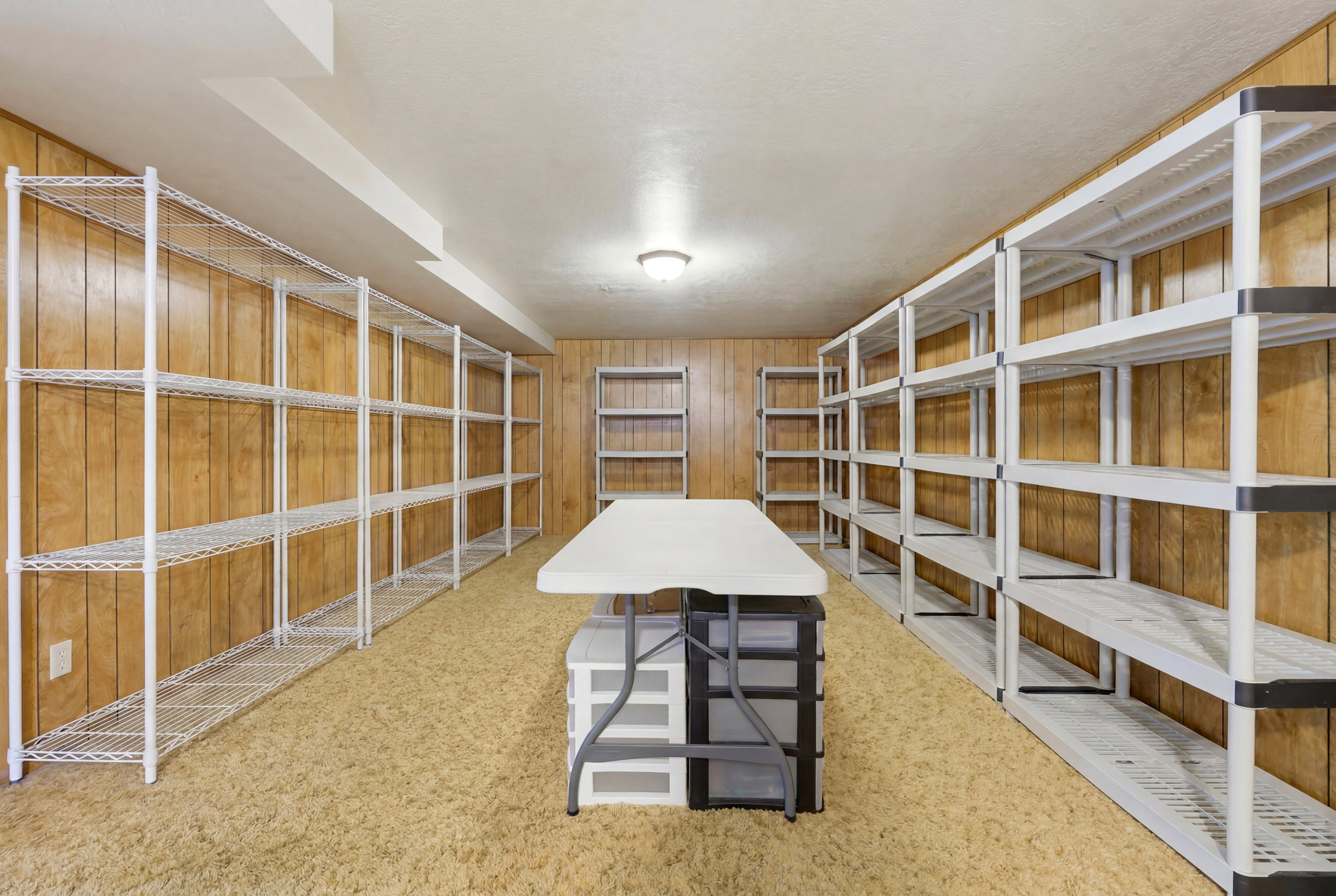 Dedicated storage room featuring extensive shelving units, wood-paneled walls, and carpet flooring