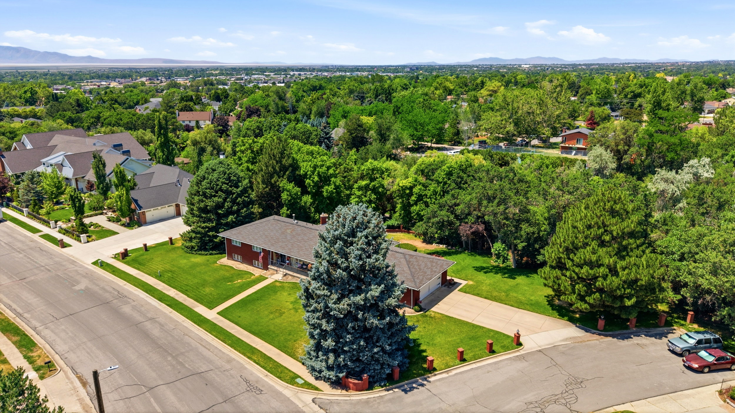 Expansive property featuring a red brick facade, a lush green lawn, a large mature evergreen tree, and a concrete driveway