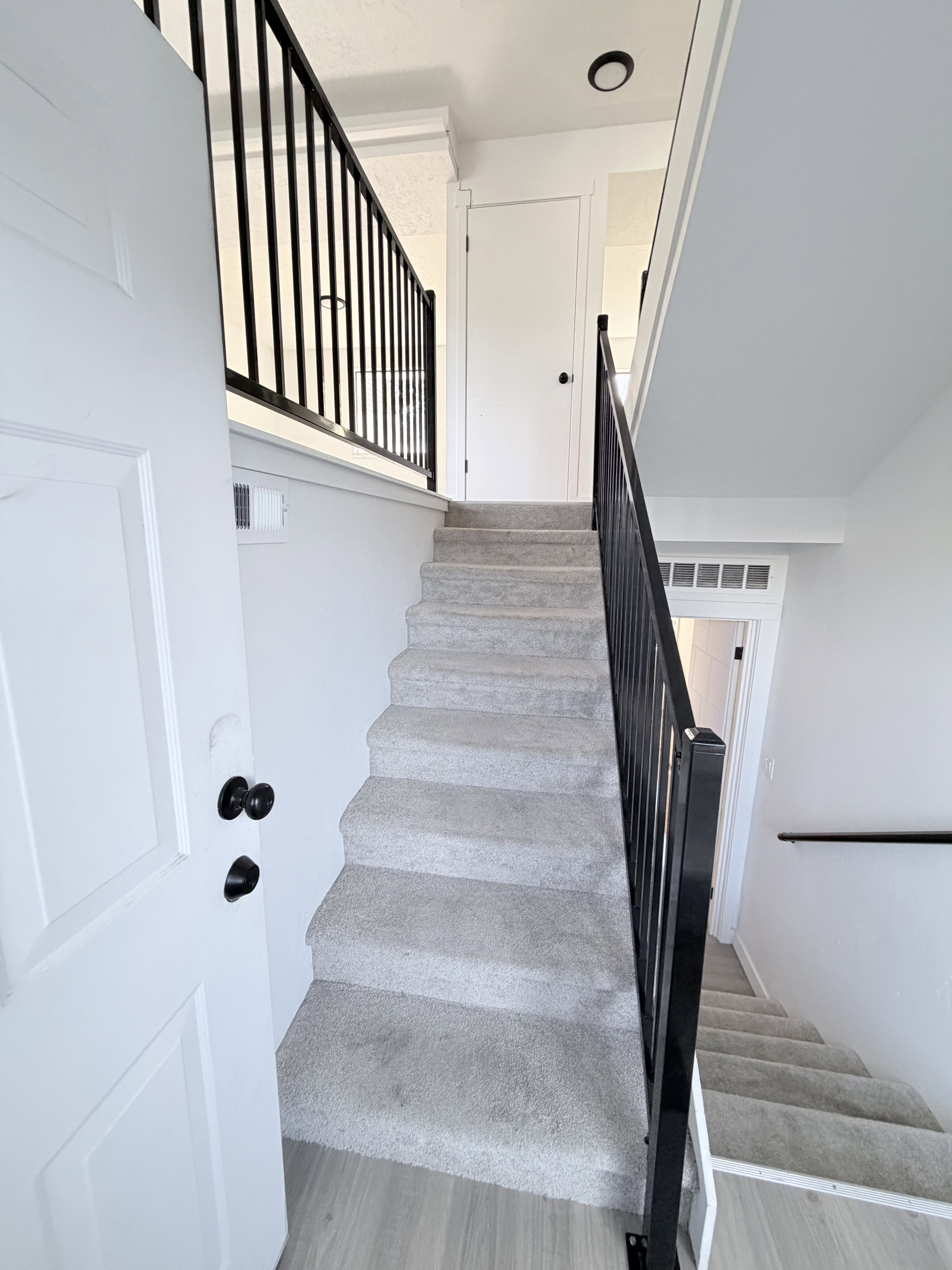 Carpeted staircase with black iron railings, a white paneled door, and wood-finish flooring