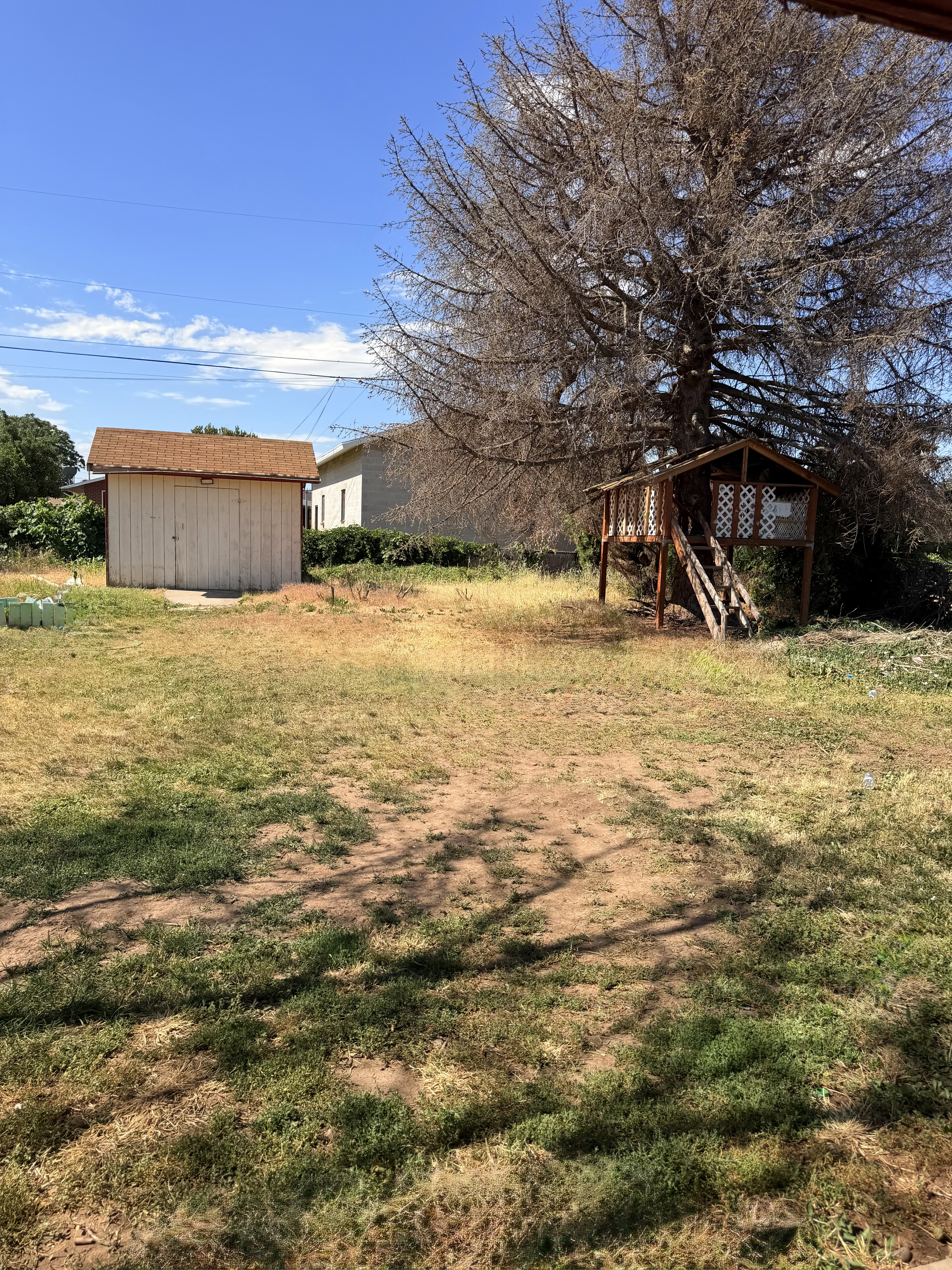 Spacious backyard featuring a storage shed with a shingle roof and a wooden playhouse with an attached ladder and lattice detailing