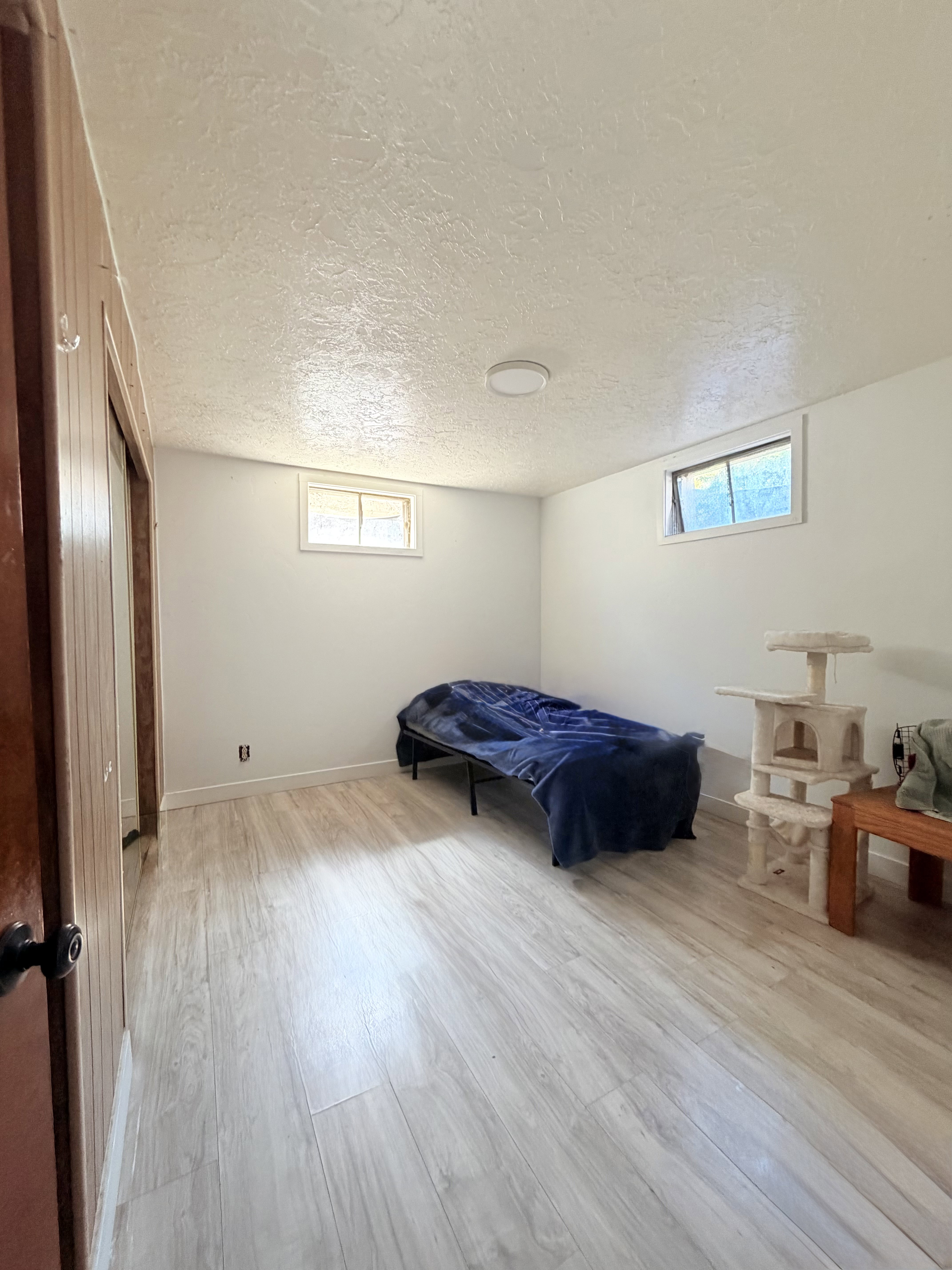 Bright room featuring wood-finish flooring, two rectangular windows, a flush-mount ceiling light, and white painted walls