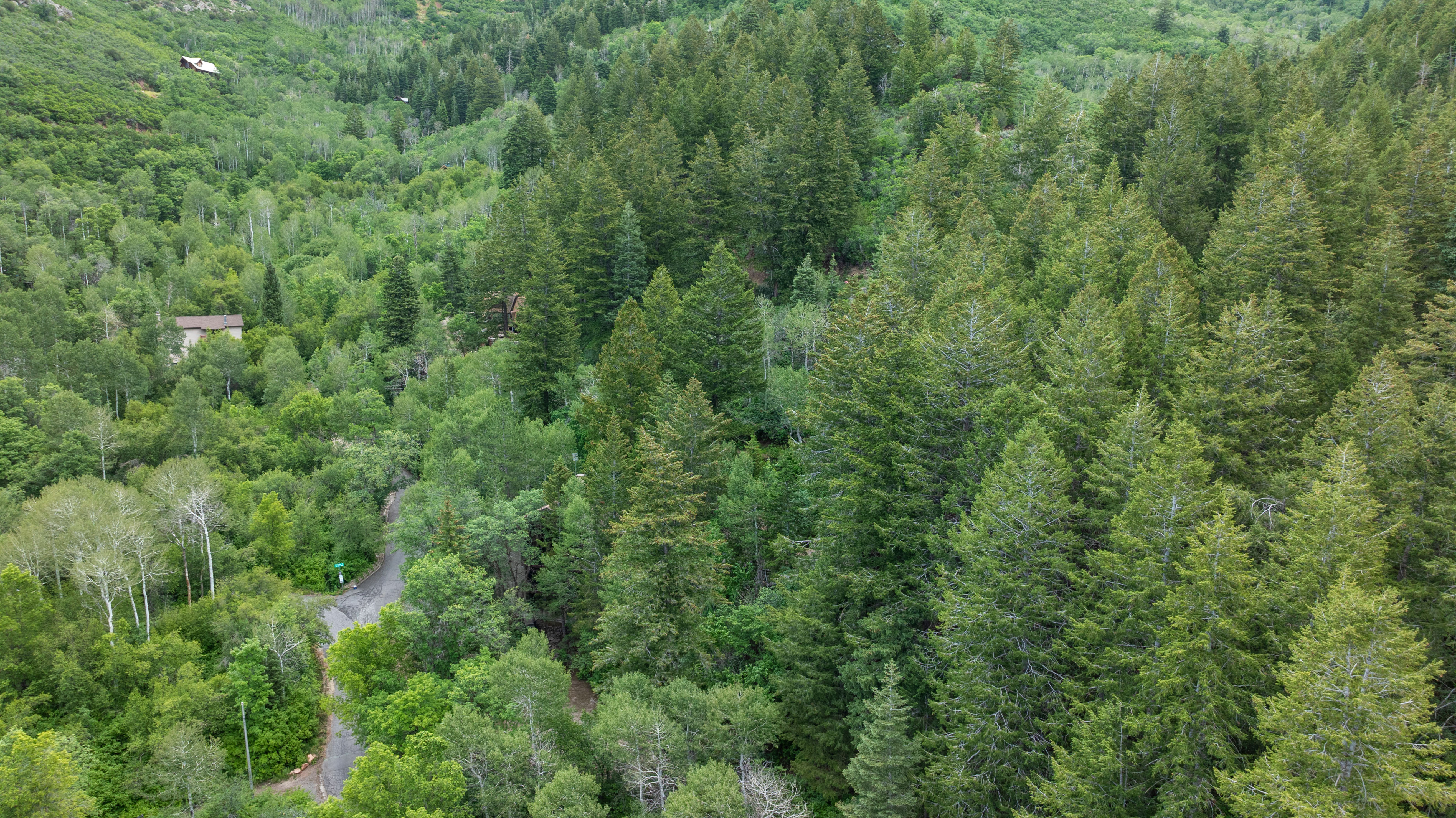 Aerial views of 9.55 acres