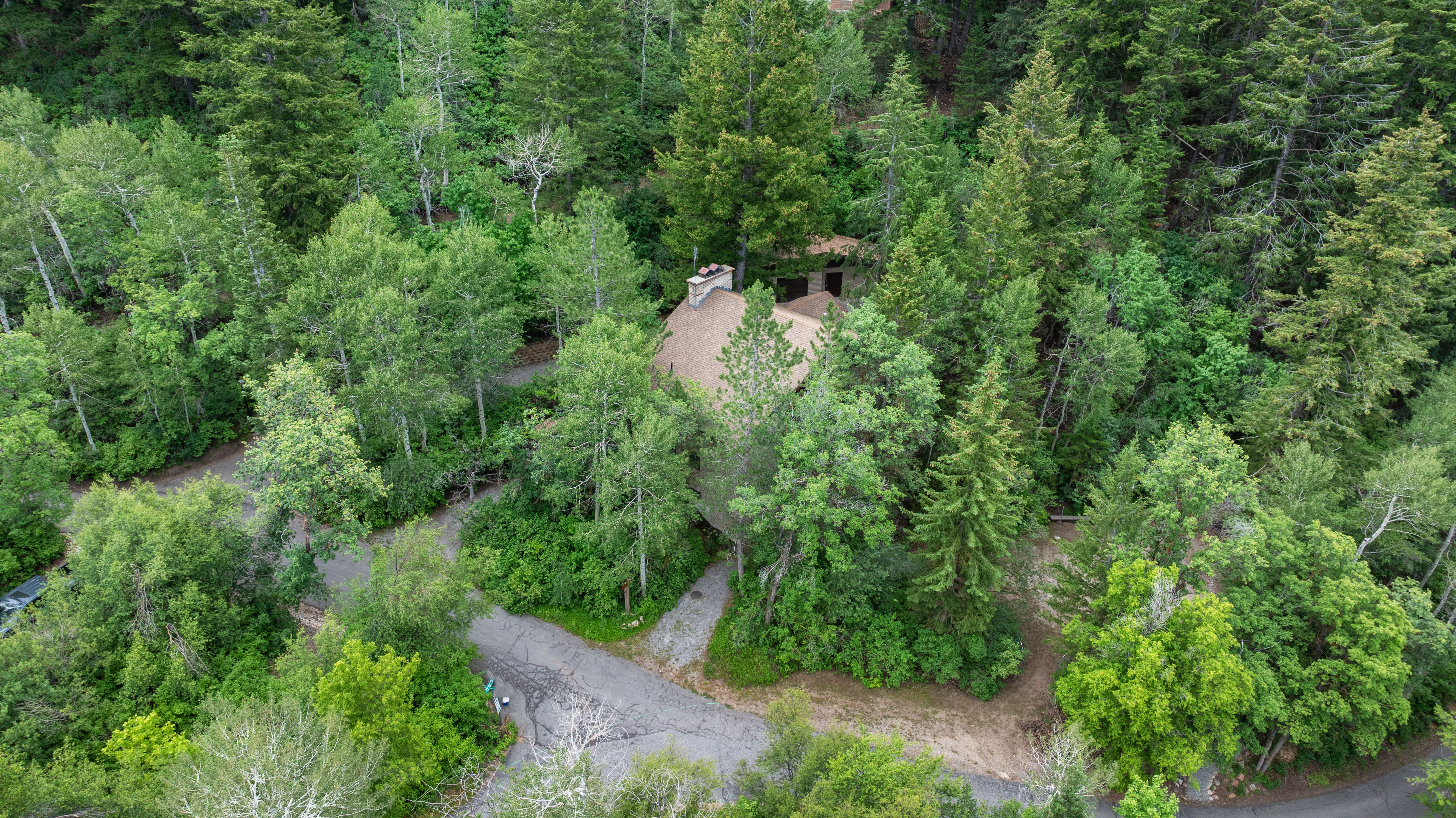 Property nestled within a dense forest of mature trees
