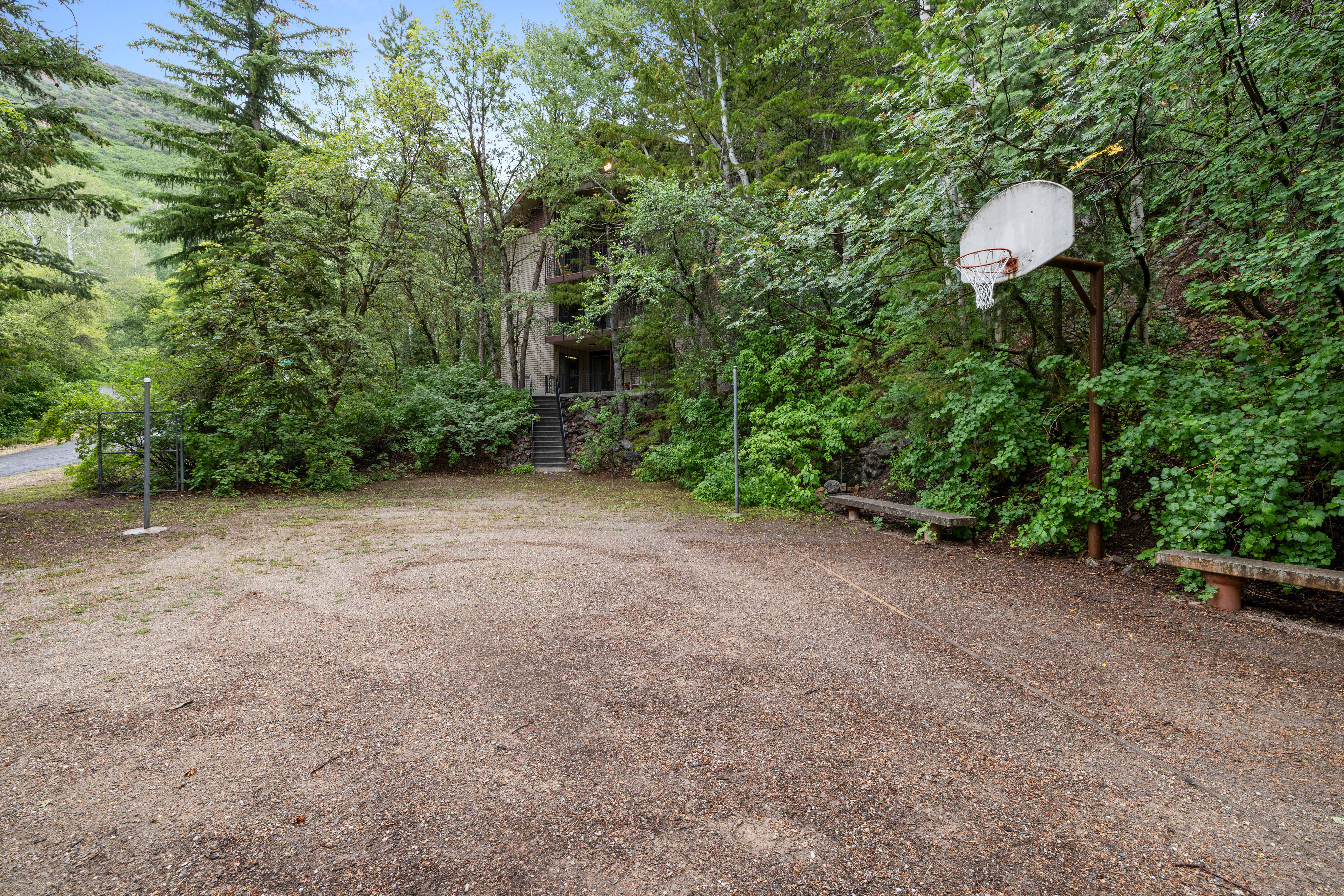 Outdoor volleyball court space with a basketball hoop, surrounded by mature trees and natural landscaping