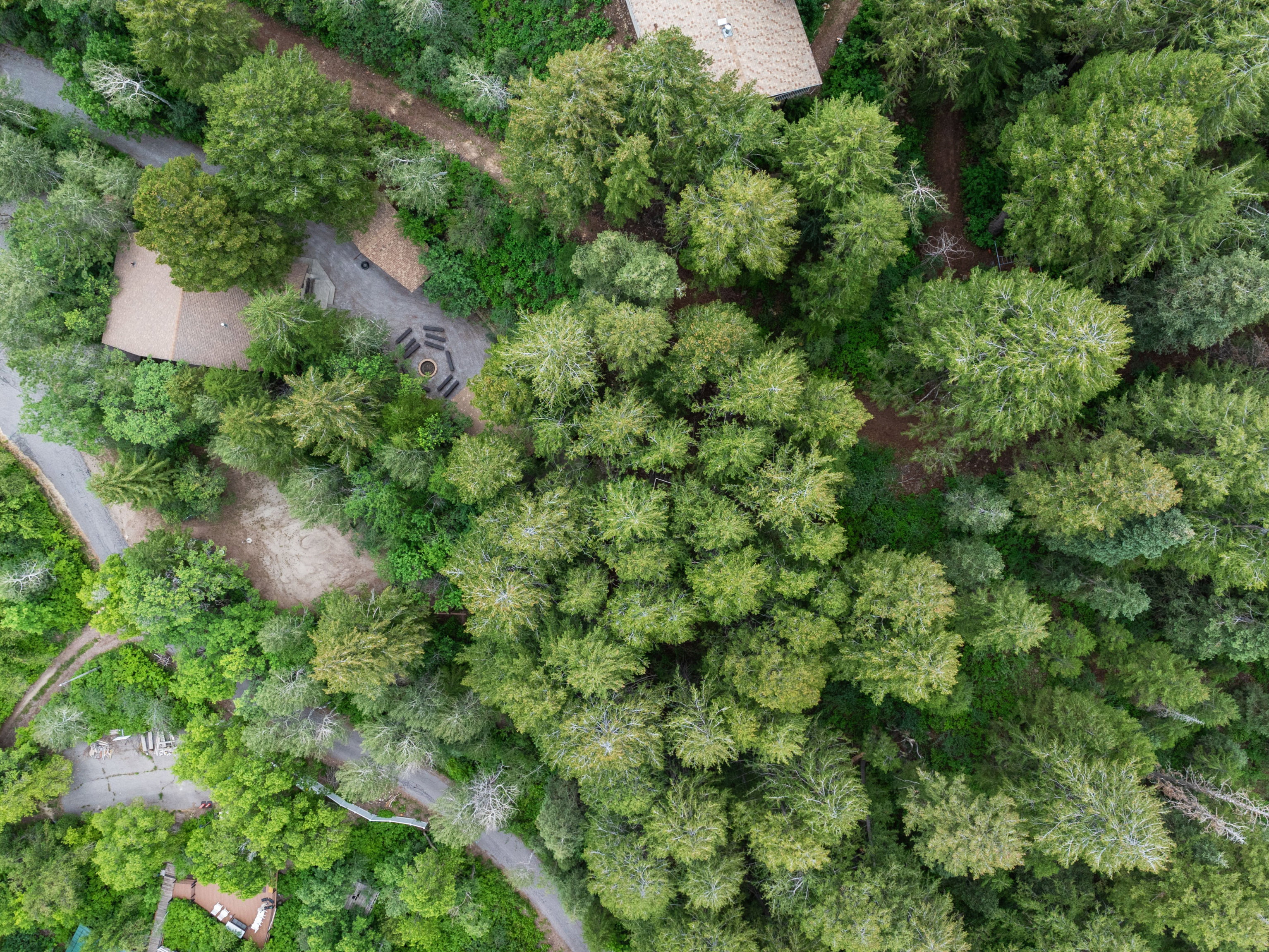 Aerial perspective showcasing a property nestled within a dense forest