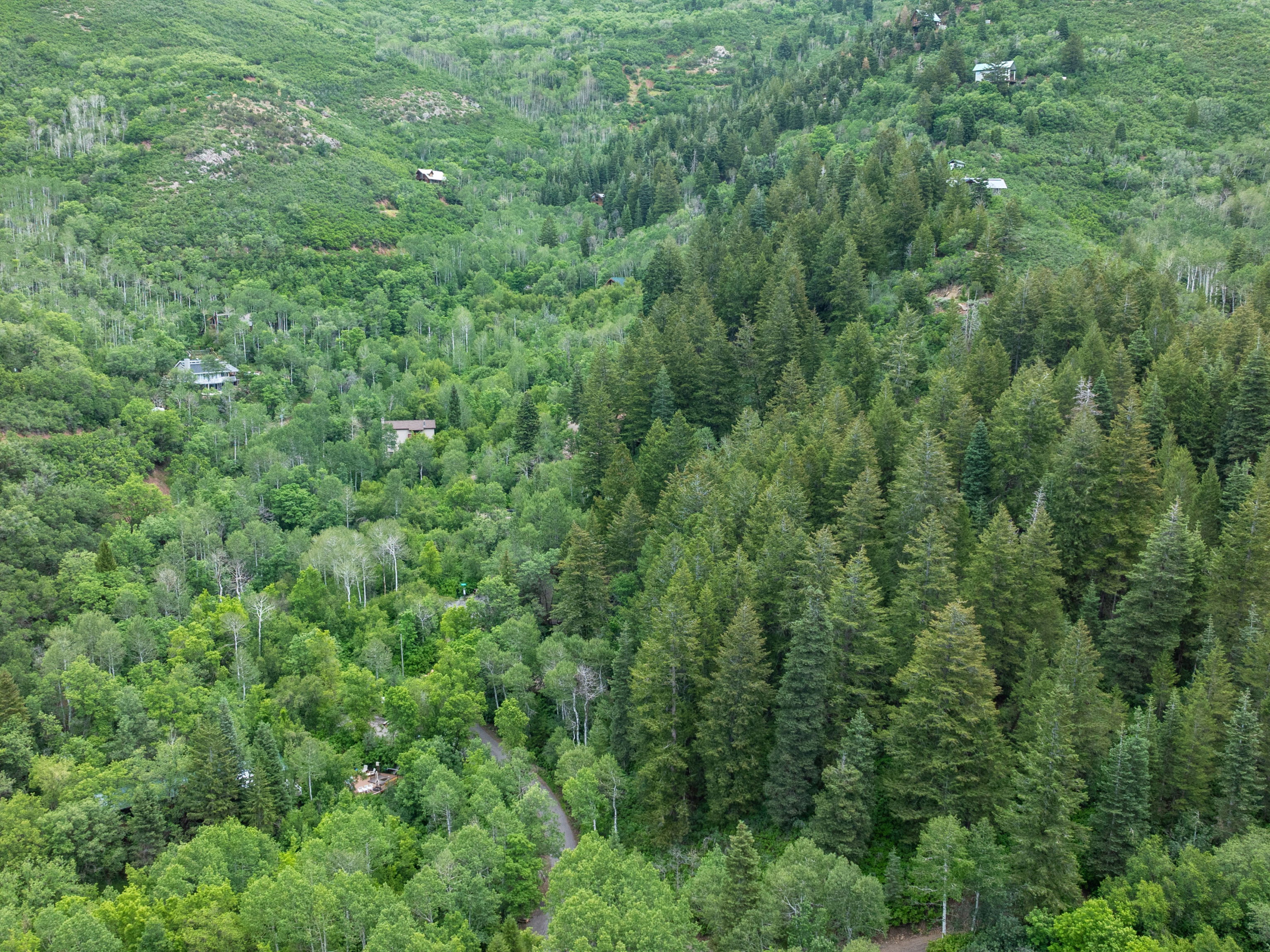 Aerial views