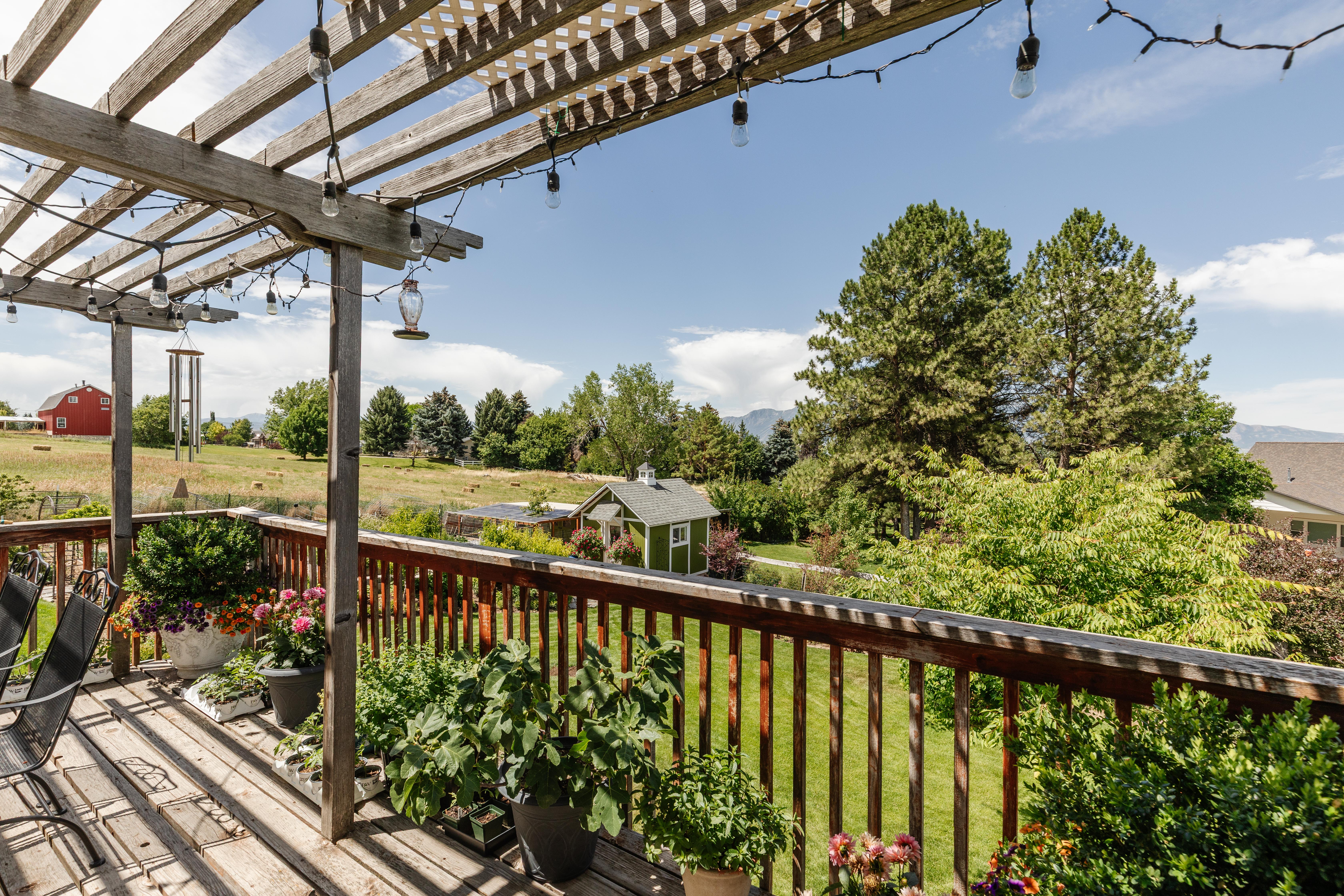 Elevated wood deck with a slatted pergola overhead