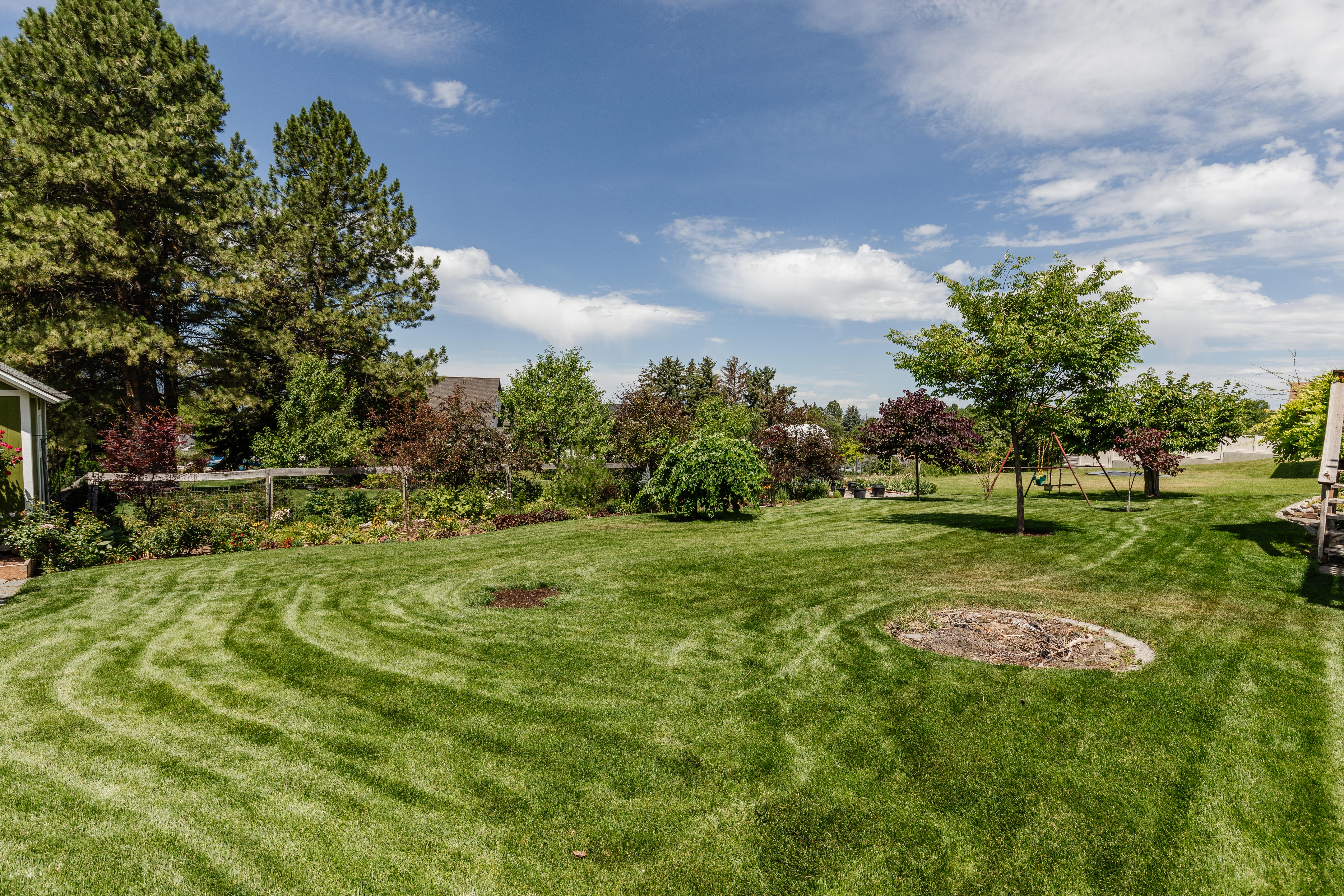Expansive grassy lawn bordered by mature trees and shrubs