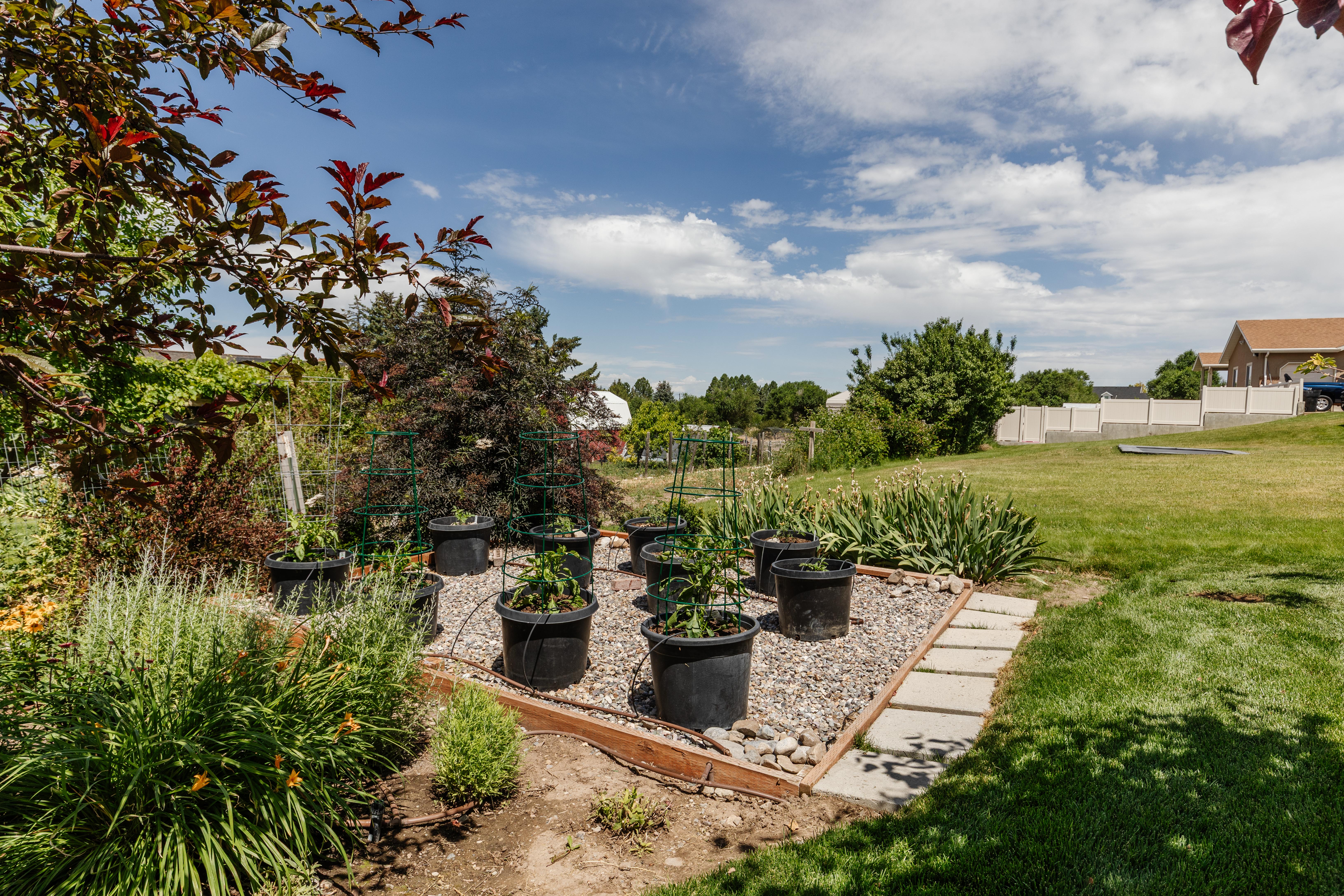Expansive backyard featuring a dedicated garden area with gravel and potted plants, bordered by a wood frame and stepping stones