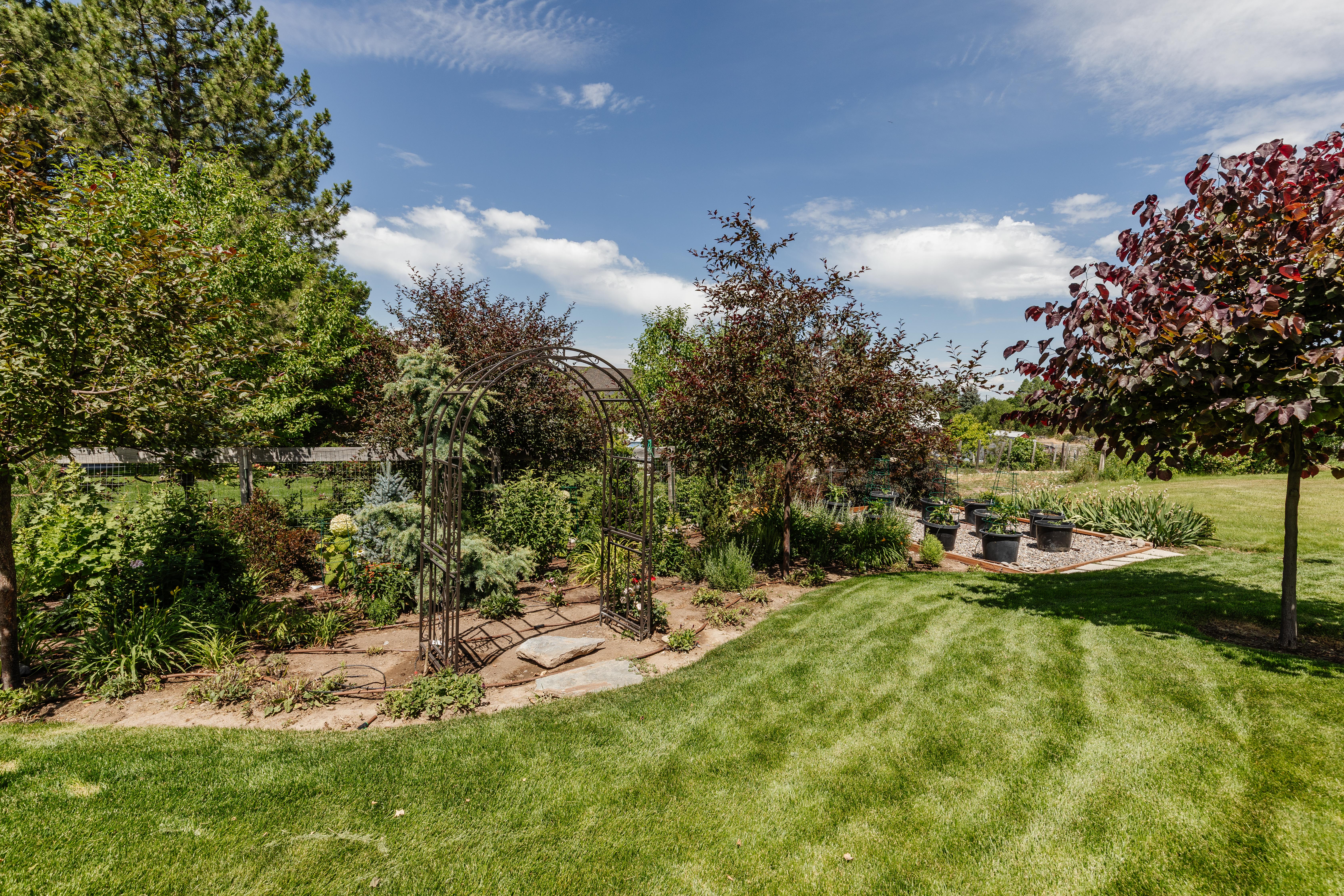Landscaped backyard featuring an arched metal trellis and a variety of mature trees and shrubbery