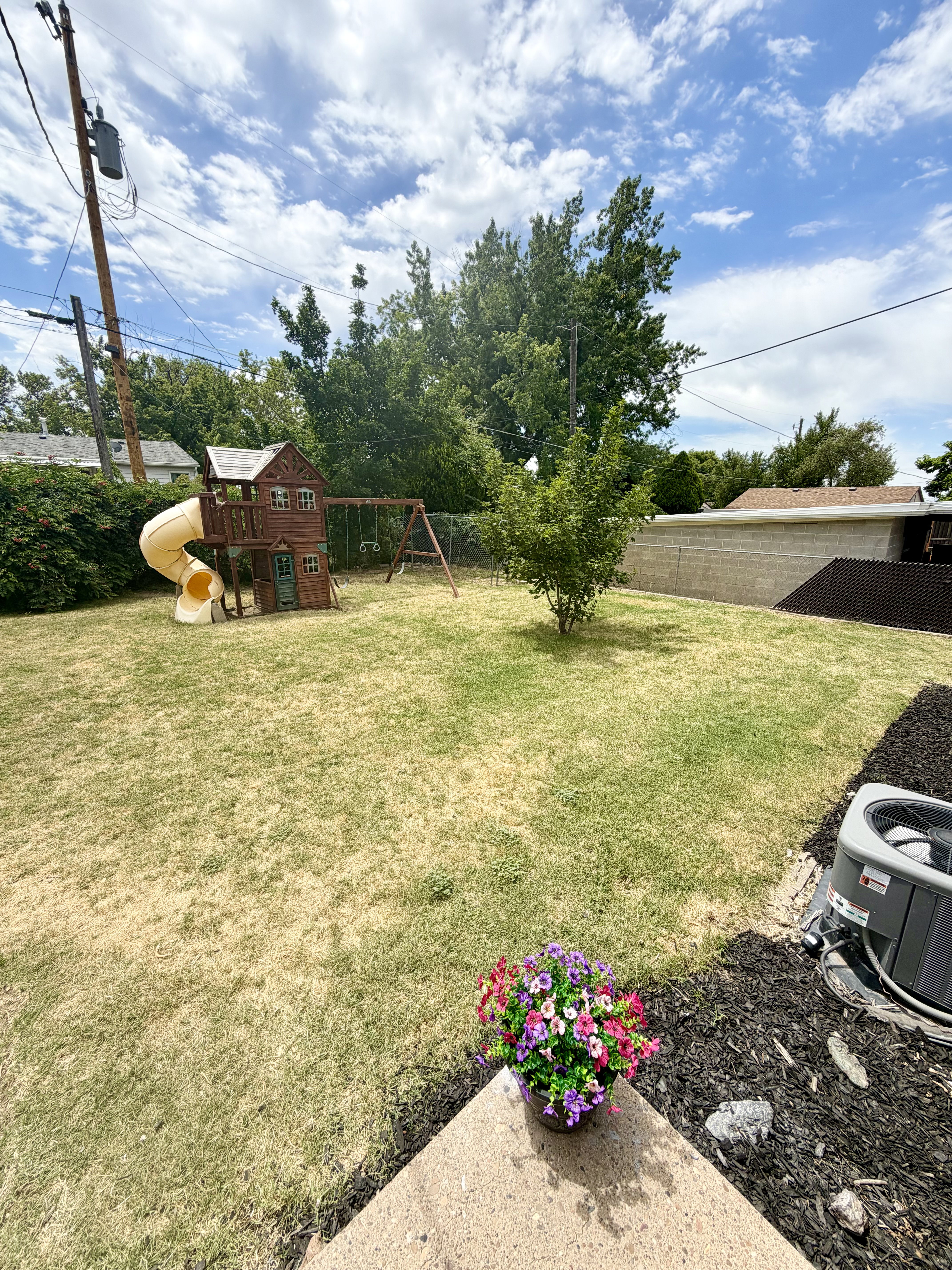 Spacious backyard featuring a grass lawn, mature trees, and a concrete patio section