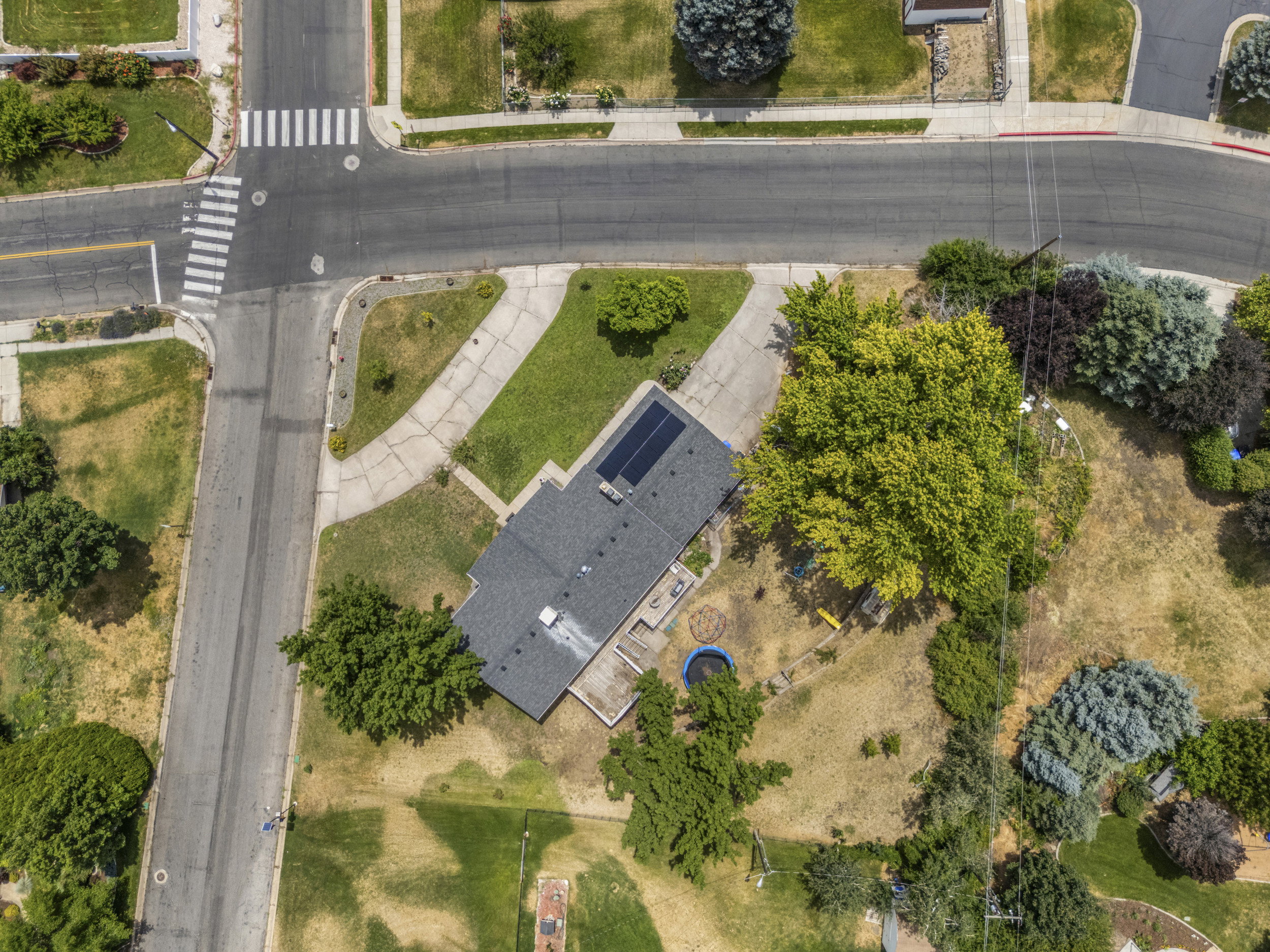 Residence featuring a dark shingle roof with solar panels, an asphalt driveway, and mature landscaping