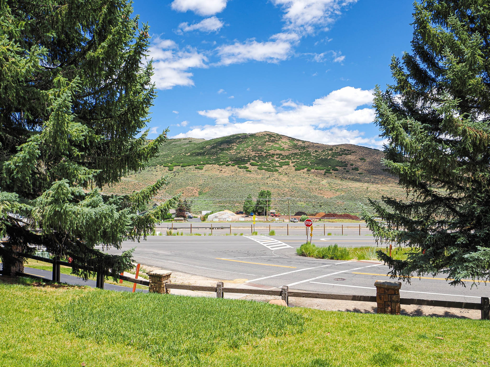 Manicured lawn with mature evergreen trees framing a distant mountain landscape