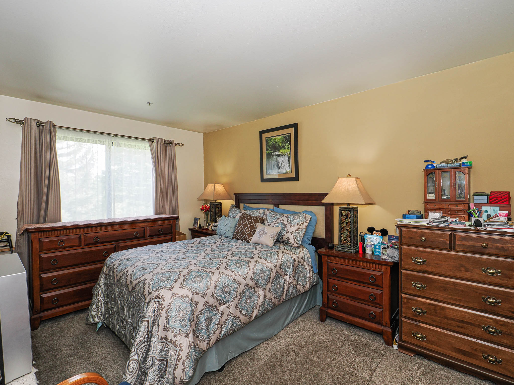 Carpeted room with a large window featuring sheer and opaque drapery