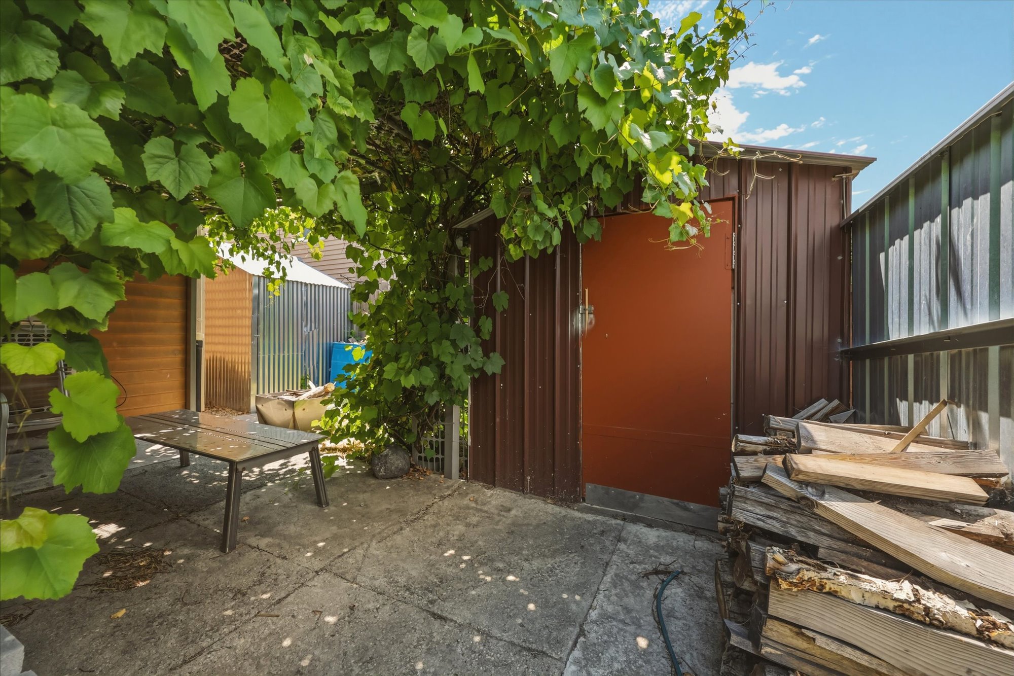 Paved patio area with a lush overhead vine canopy, featuring a brown metal storage shed with a solid red door