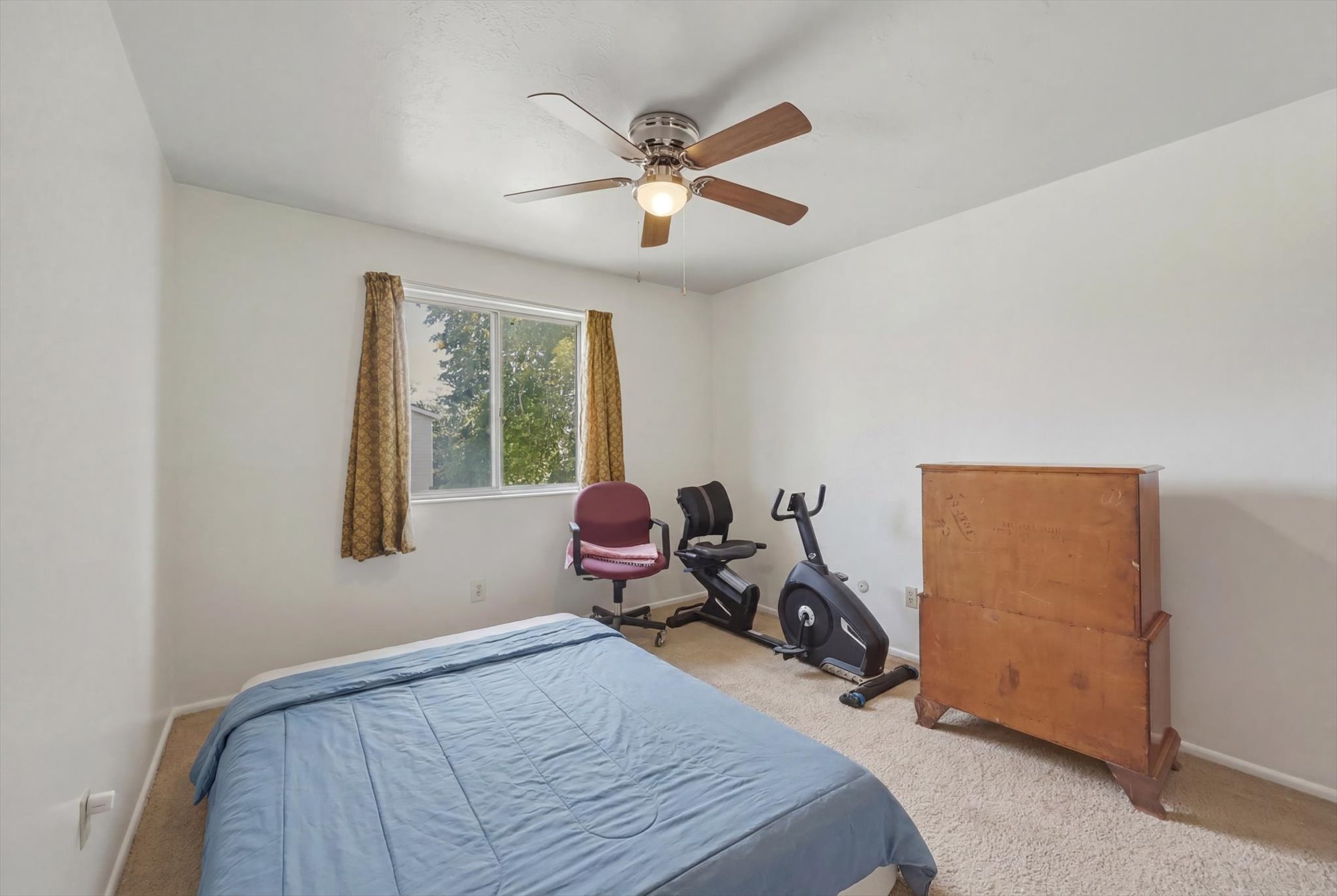 Carpeted room featuring a ceiling fan with light fixture, a window with exterior tree line, and white walls