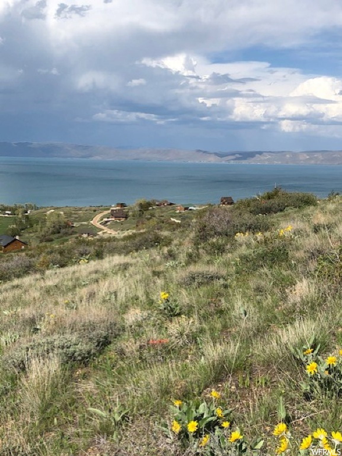 Expansive hillside property featuring natural landscaping, scattered wildflowers, and distant water scenery
