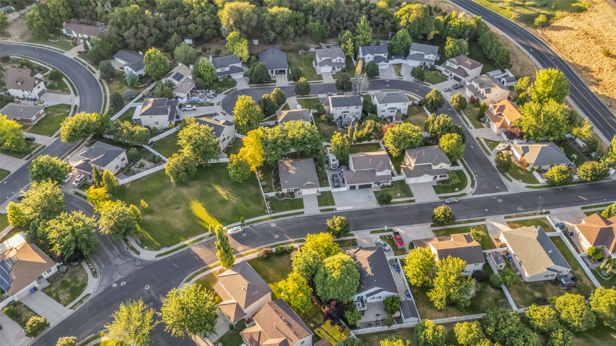 Residential neighborhood featuring varied single-family homes and mature trees