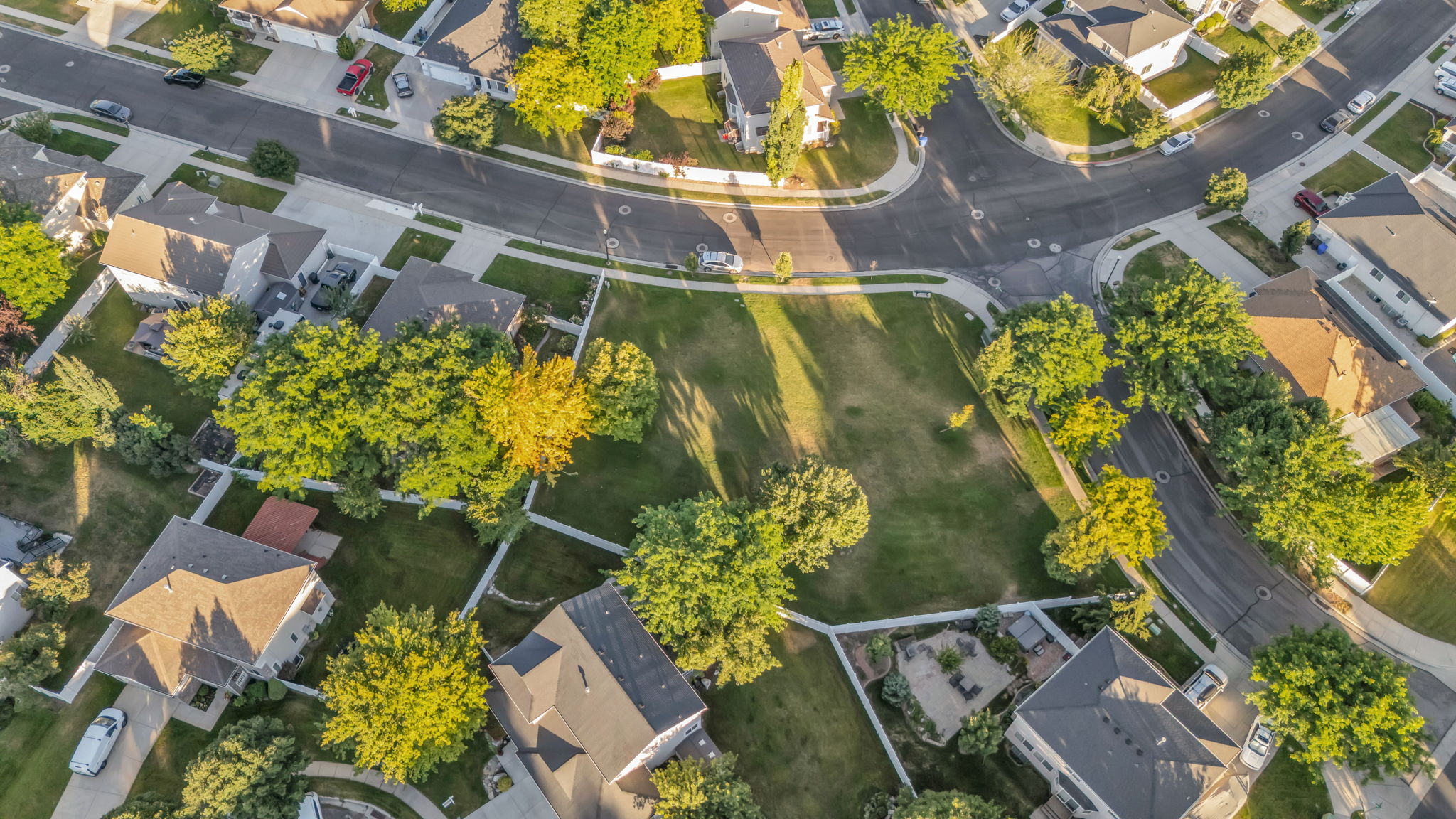 Expansive green space surrounded by mature trees and paved residential streets