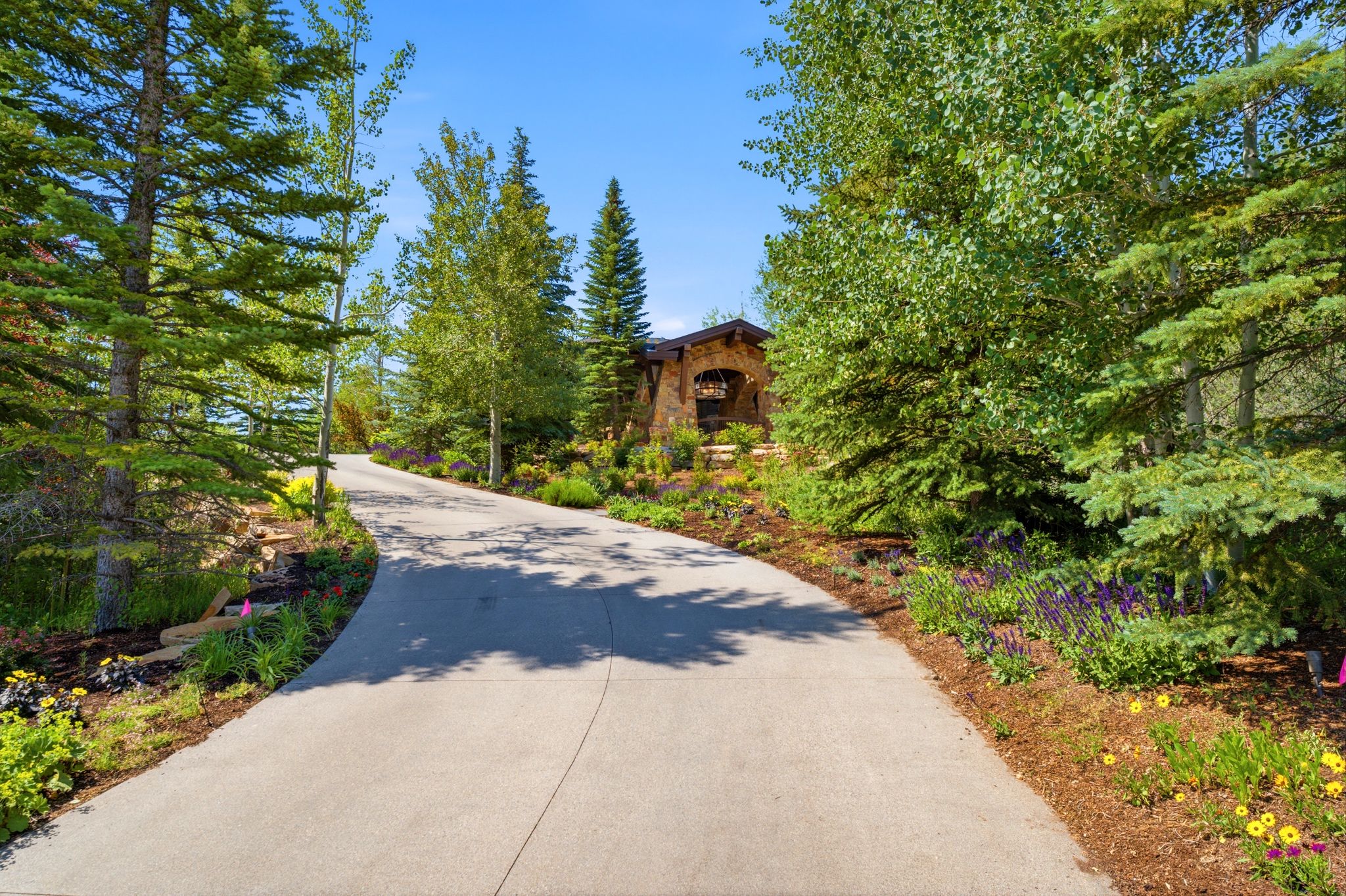 Winding concrete driveway bordered by mature evergreen and deciduous trees, with landscaped garden beds featuring flowering plants