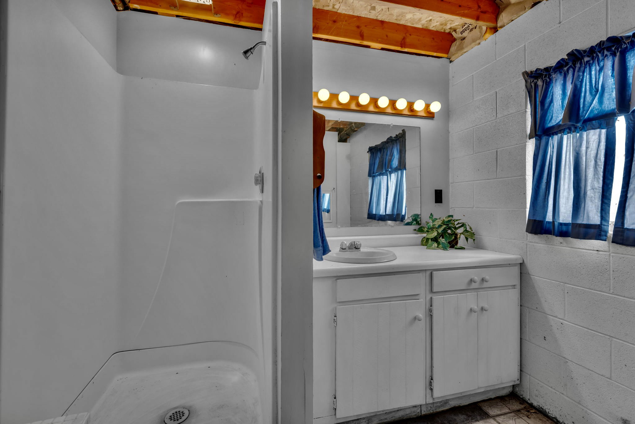 Downstairs bath and shower.