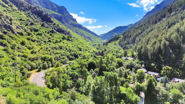 Mountain valley setting featuring abundant mature trees and a paved road winding through the landscape