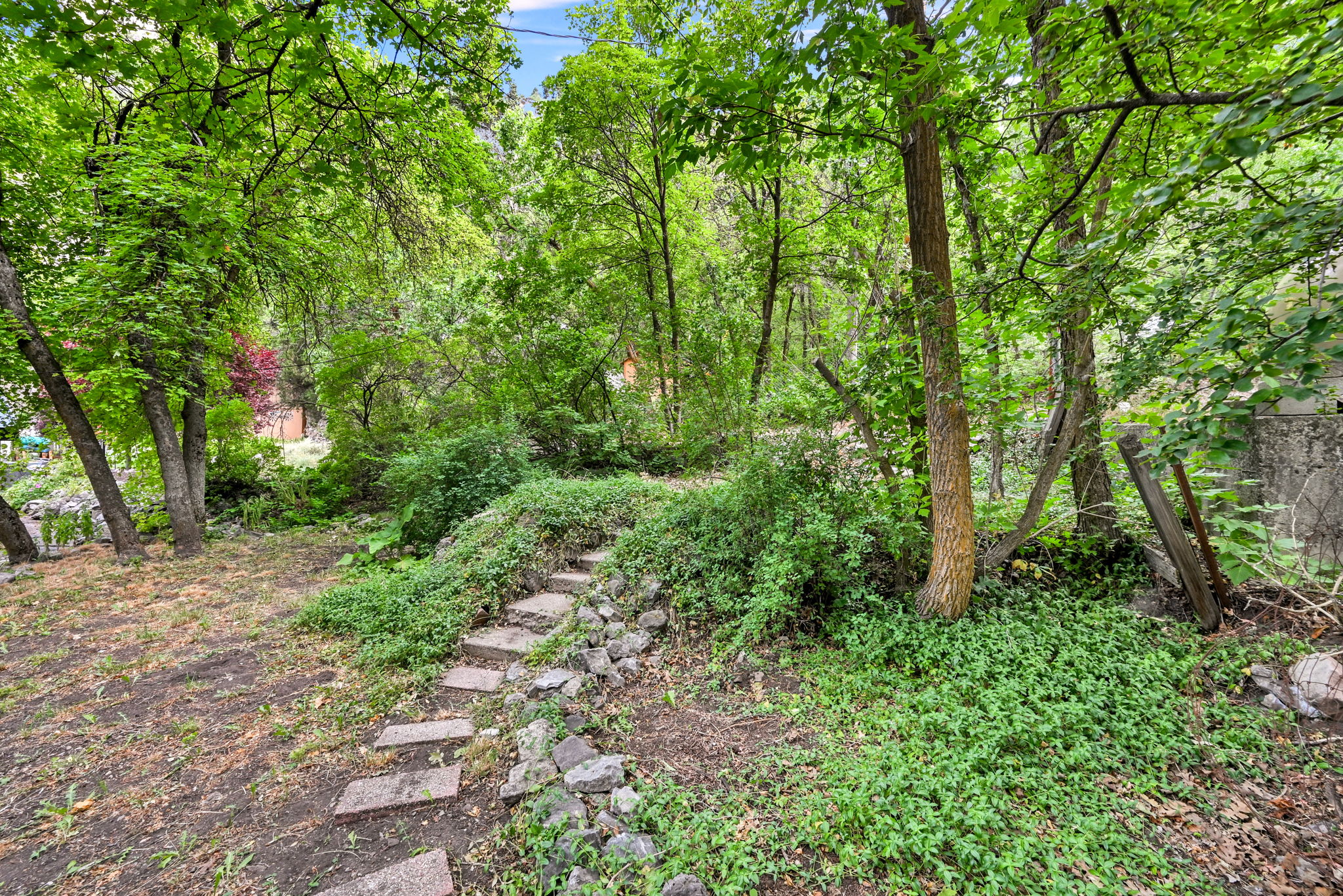 The yard is serene with beautiful canyon views and privacy.